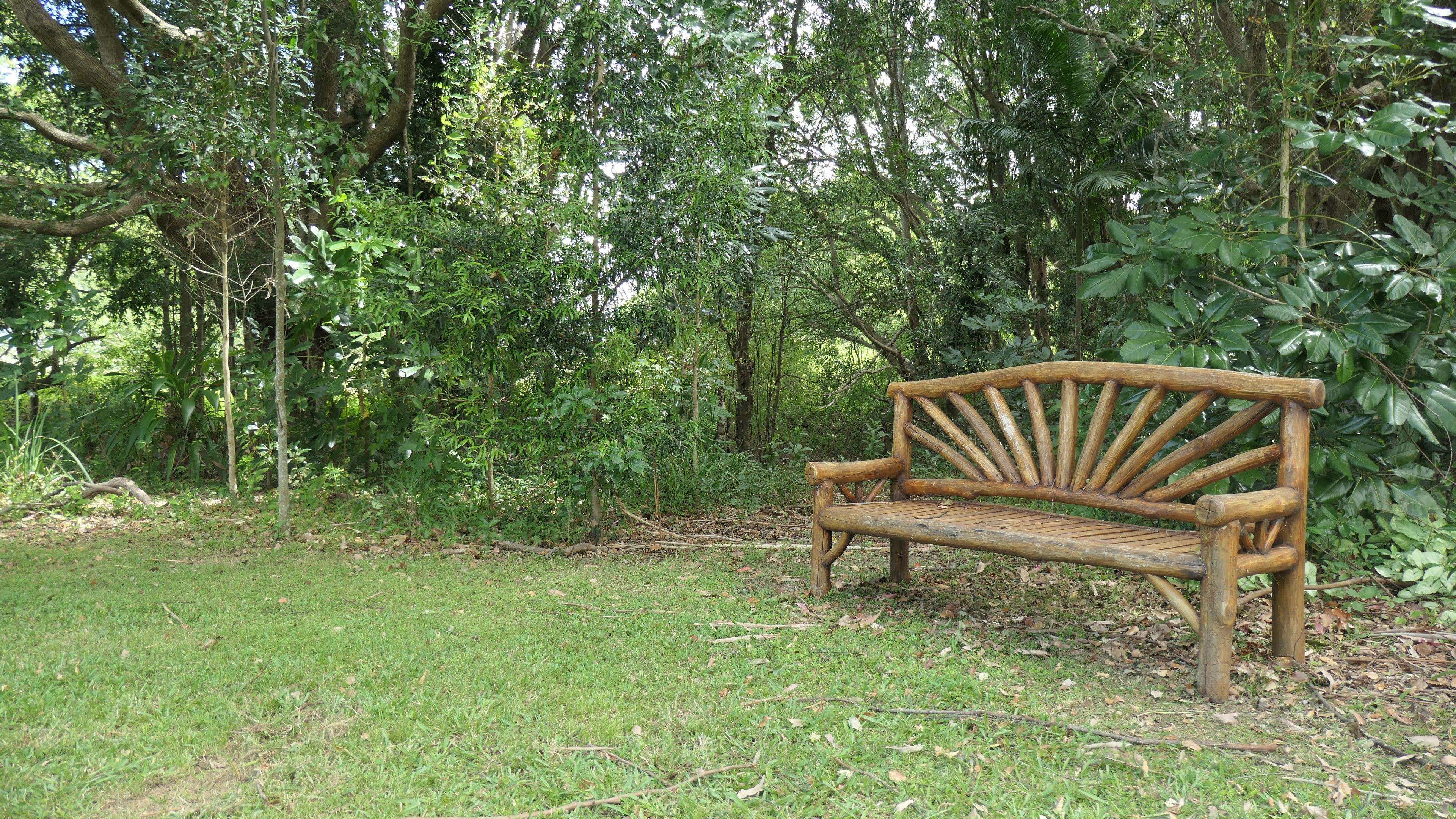 Possum Wood Paradise