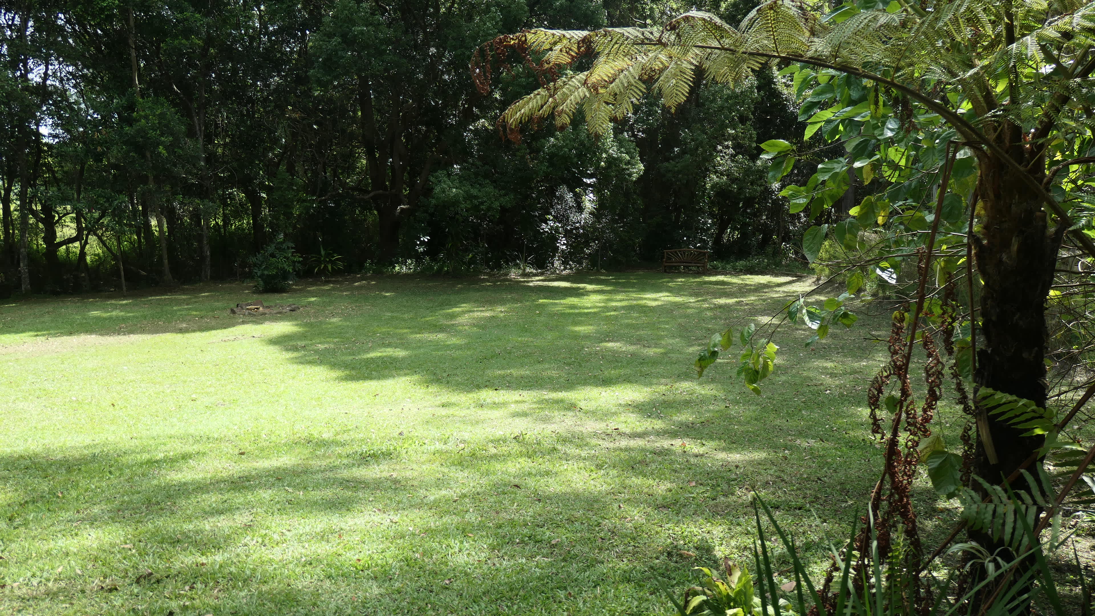 Possum Wood Paradise