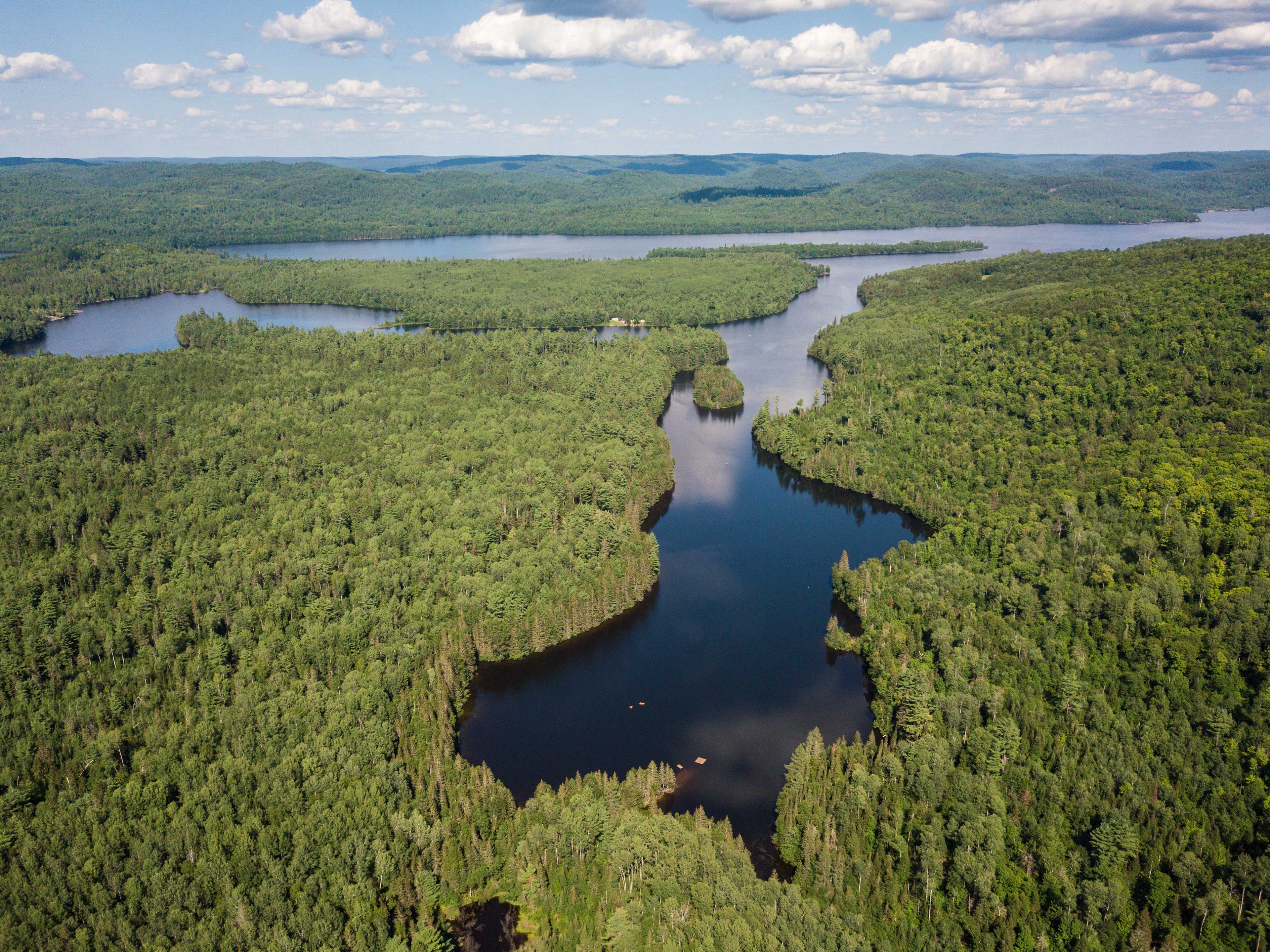 Nature's Harmony Wilderness Retreat