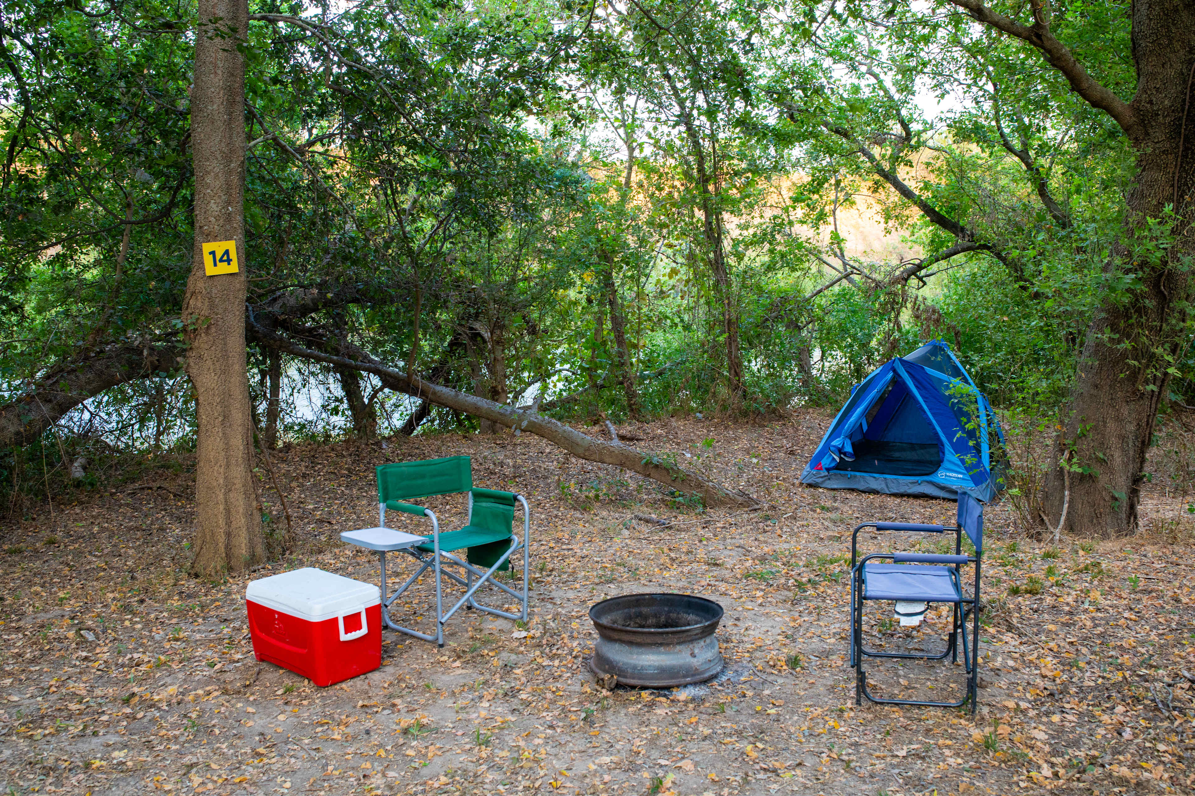 Picture of the site
