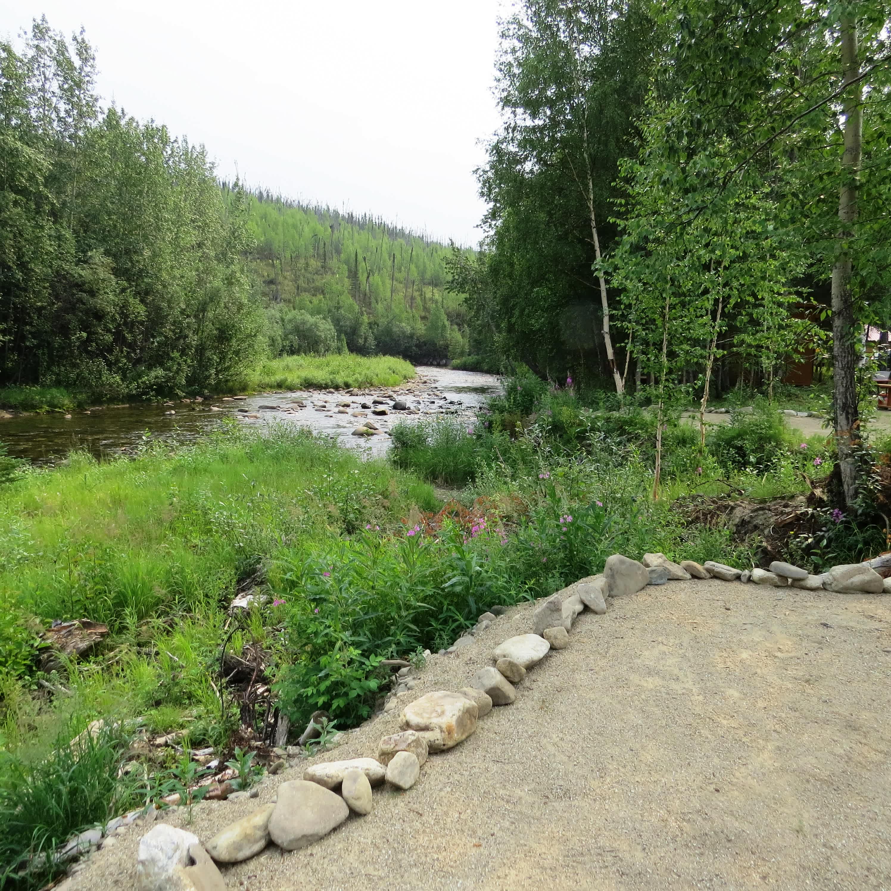 Picture of the site