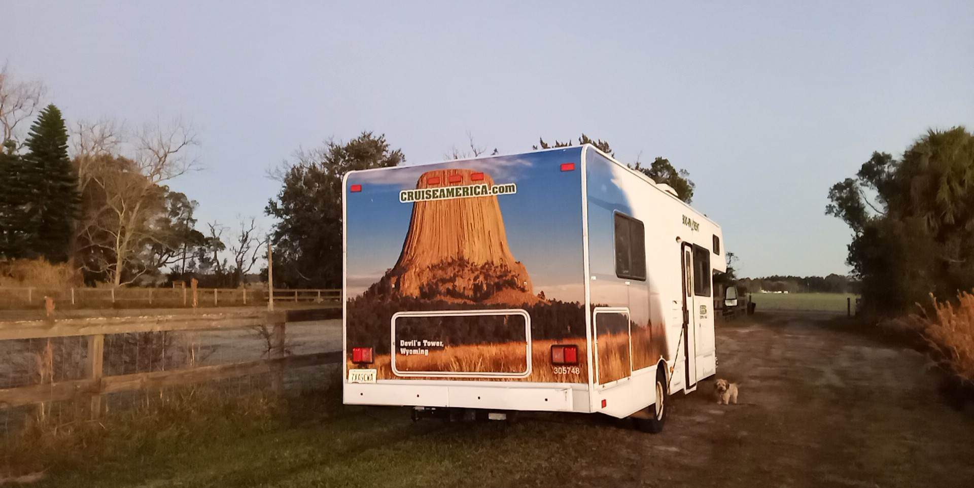 Picture of the site