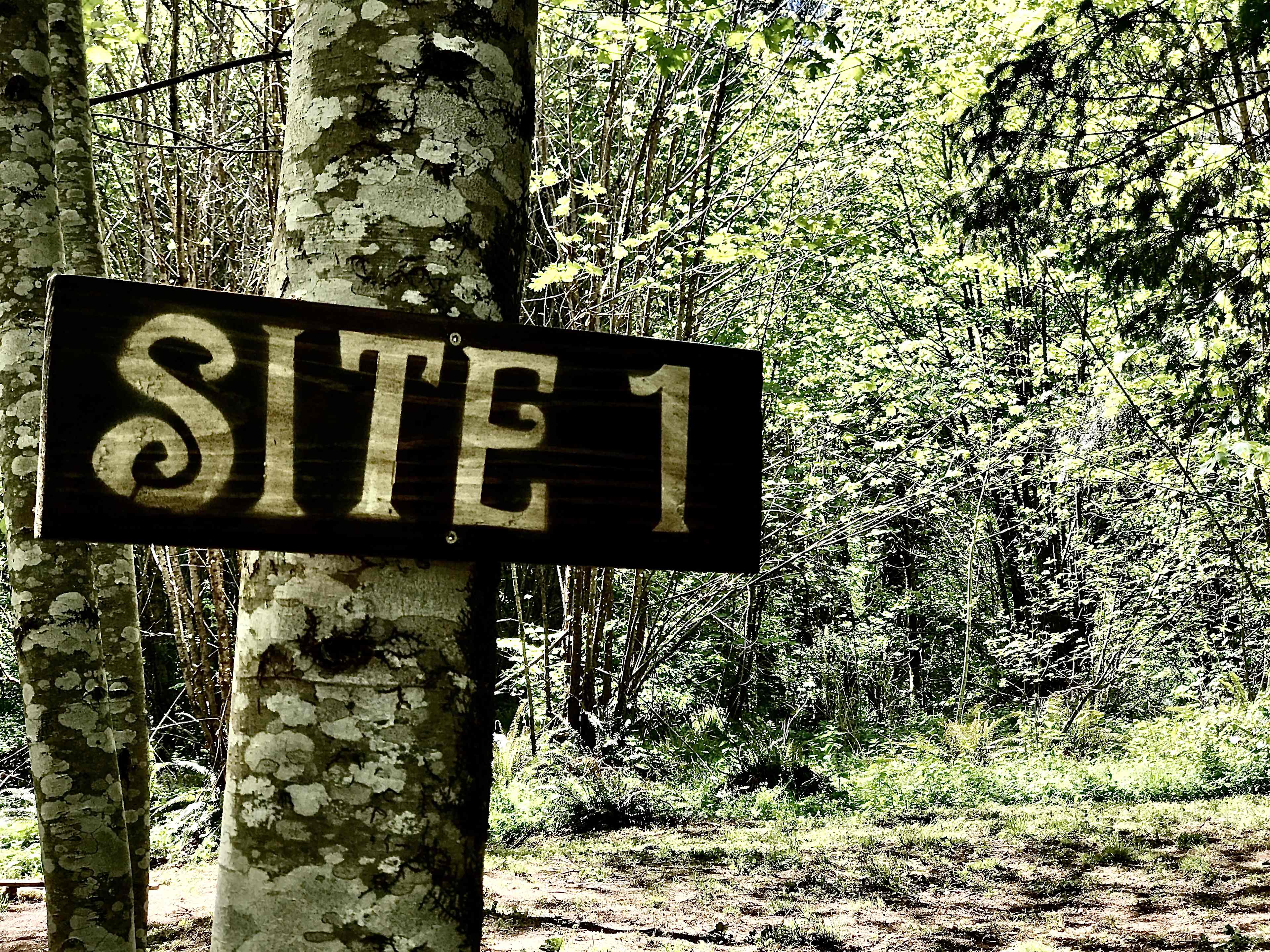 Picture of the site