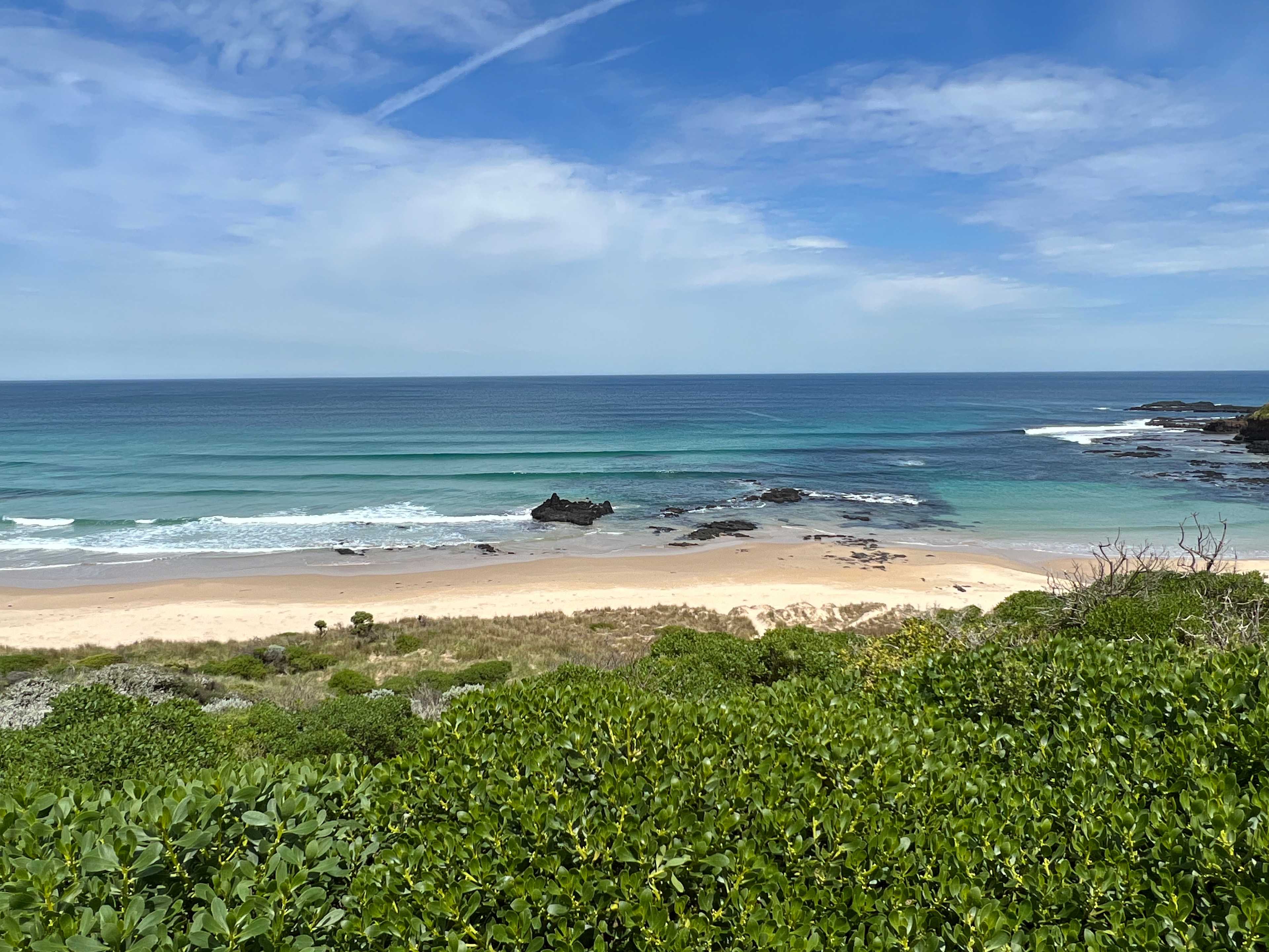 Field Phillip Island