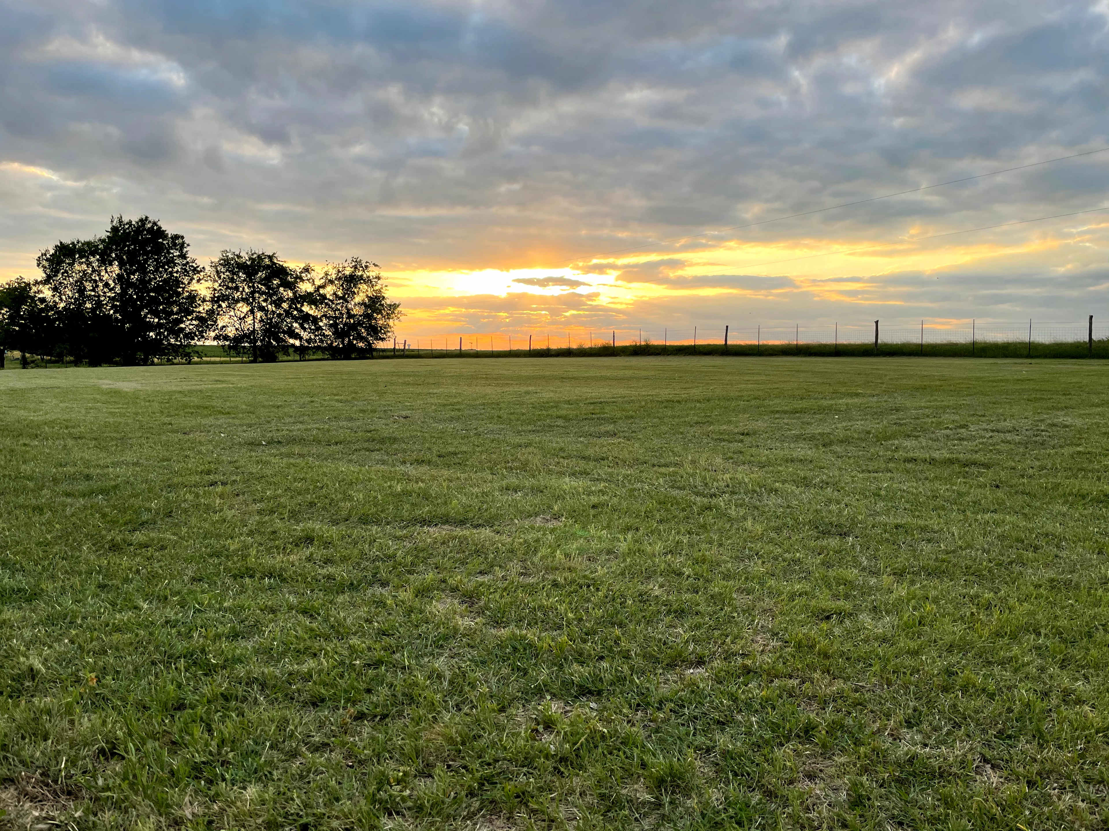 Simply Moore Farm