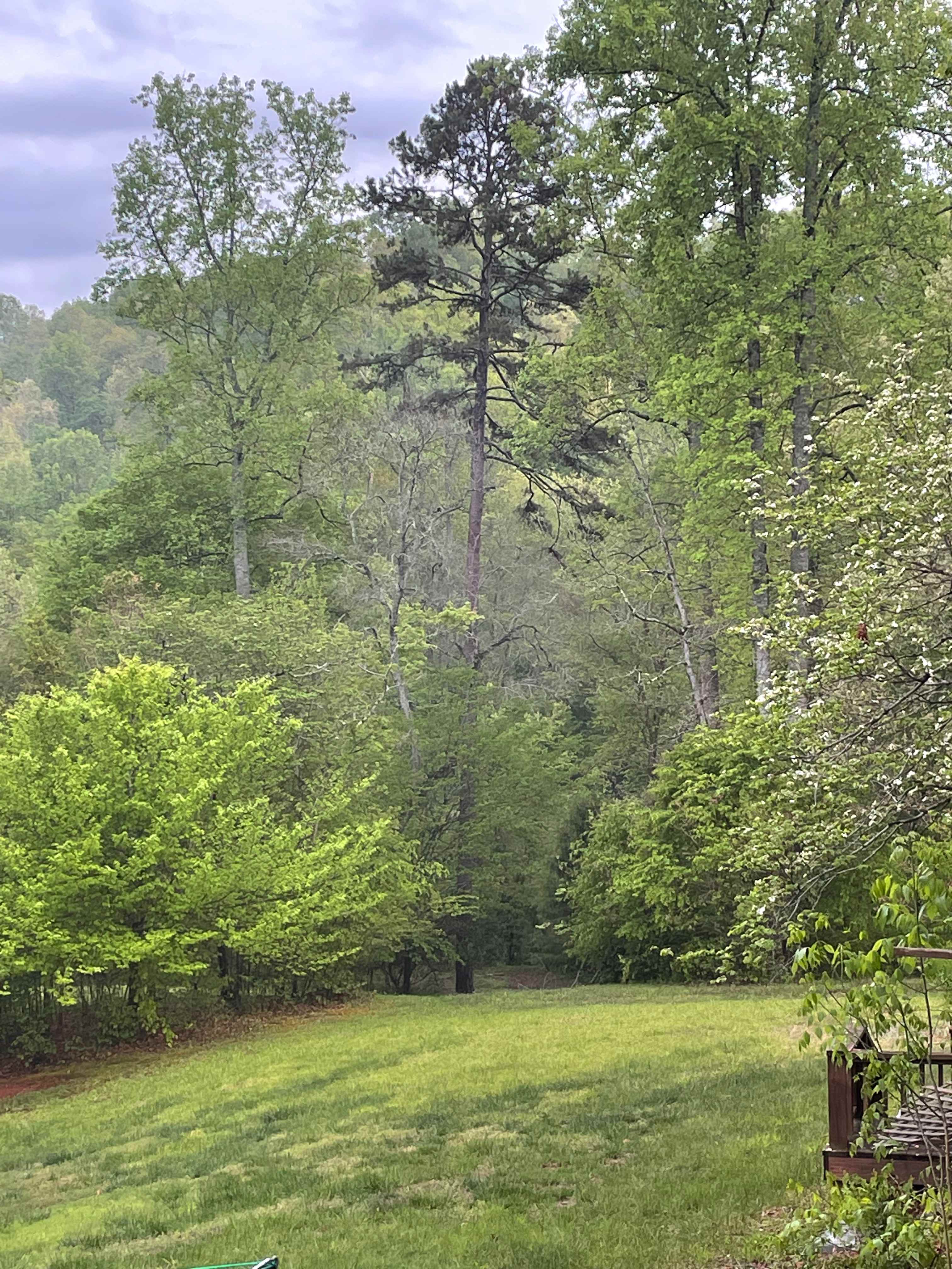 Fields available close to river and creeks for open area camping or camping in the woods.