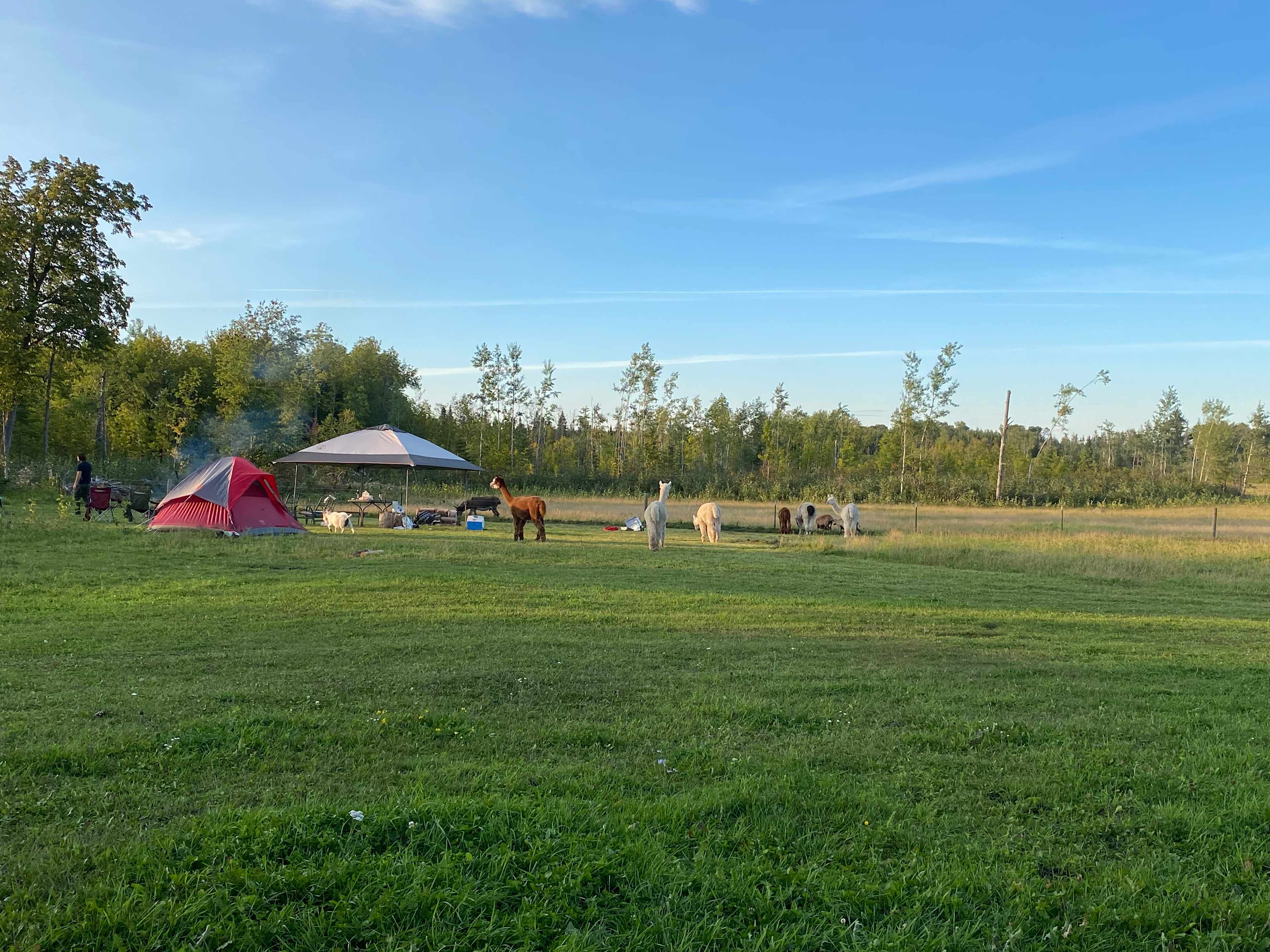 Picture of the site