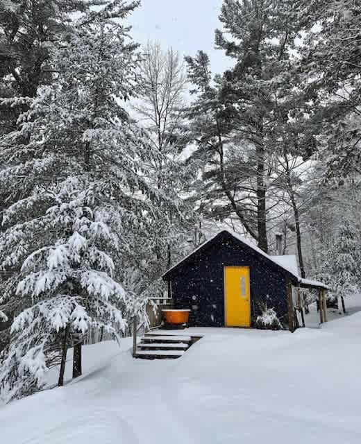 Simple Cabin in town