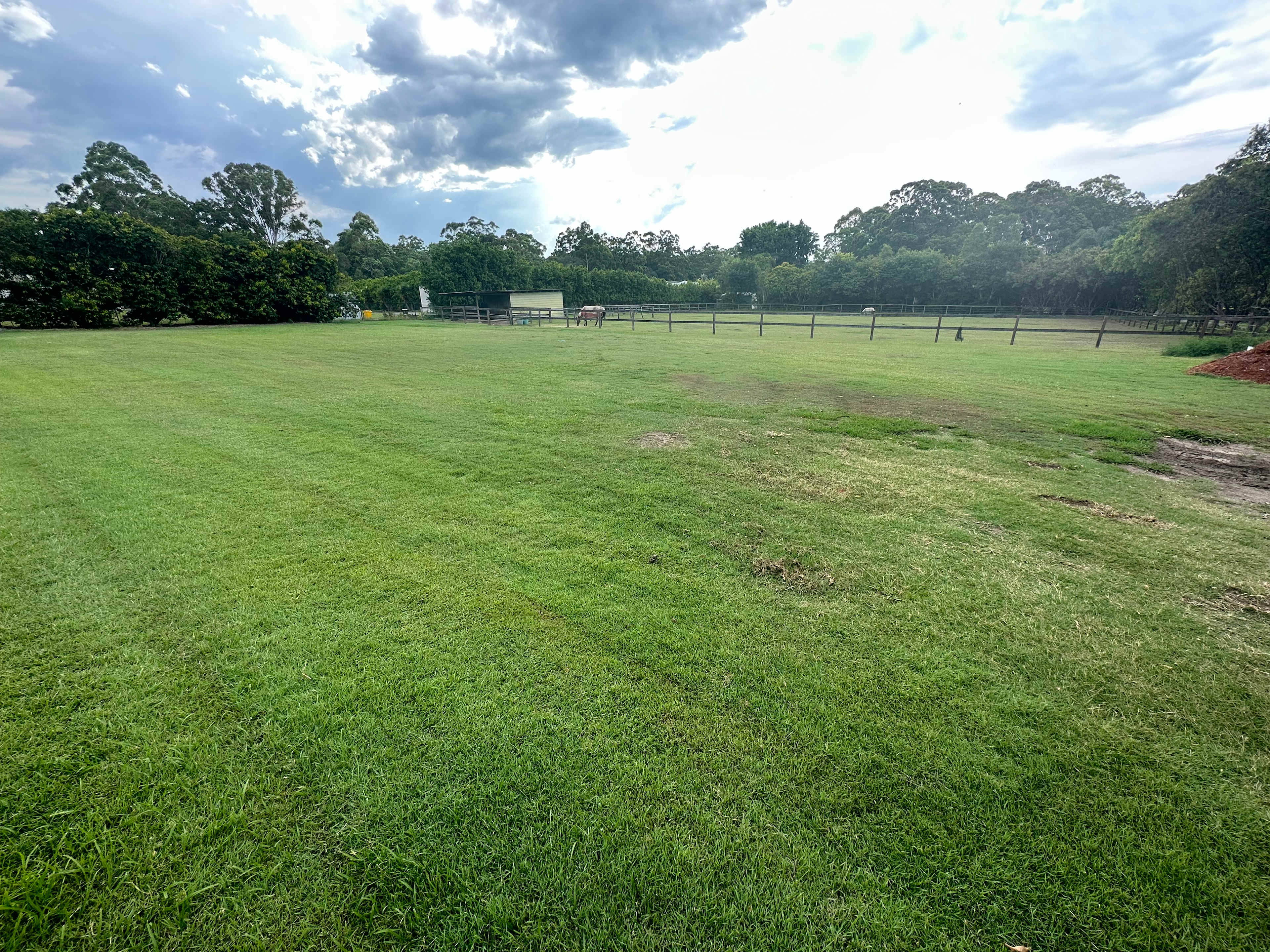 The paddock