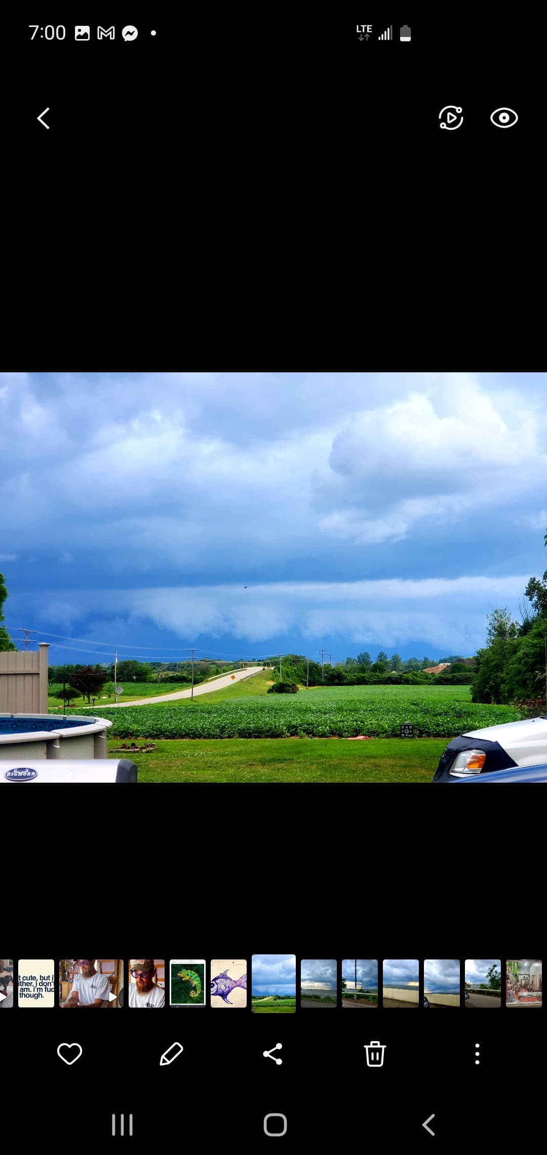 This is the soybean view. It rotates with corn. Both grow up enough to create a natural barrier and privacy in the yard. 