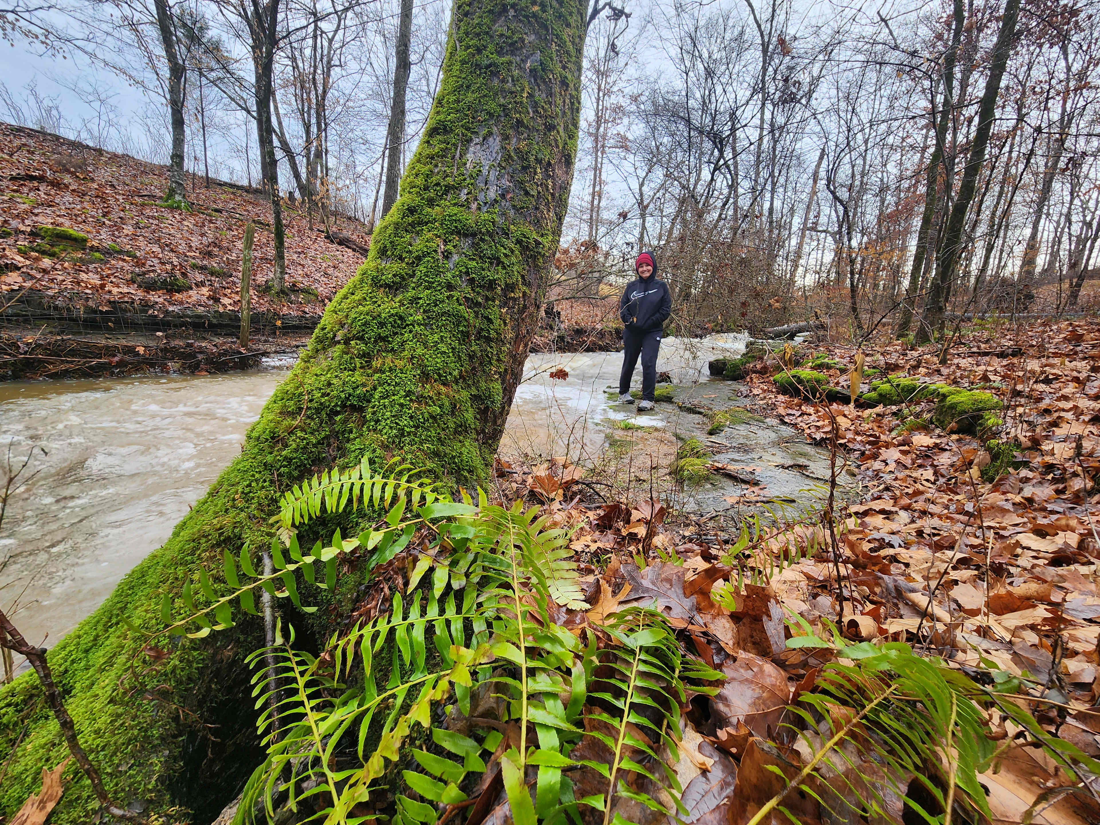 Dreamline Trails & Camping