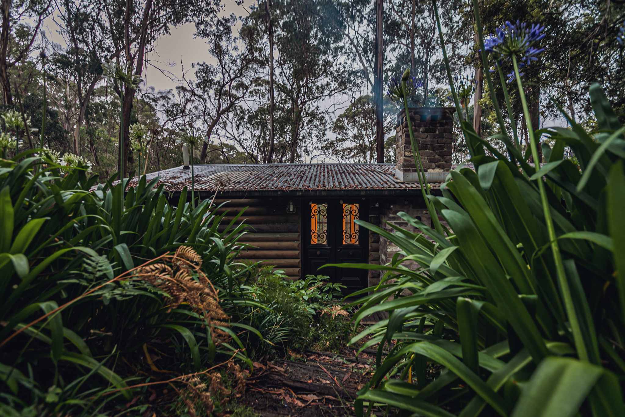 Lyrebirds Nest