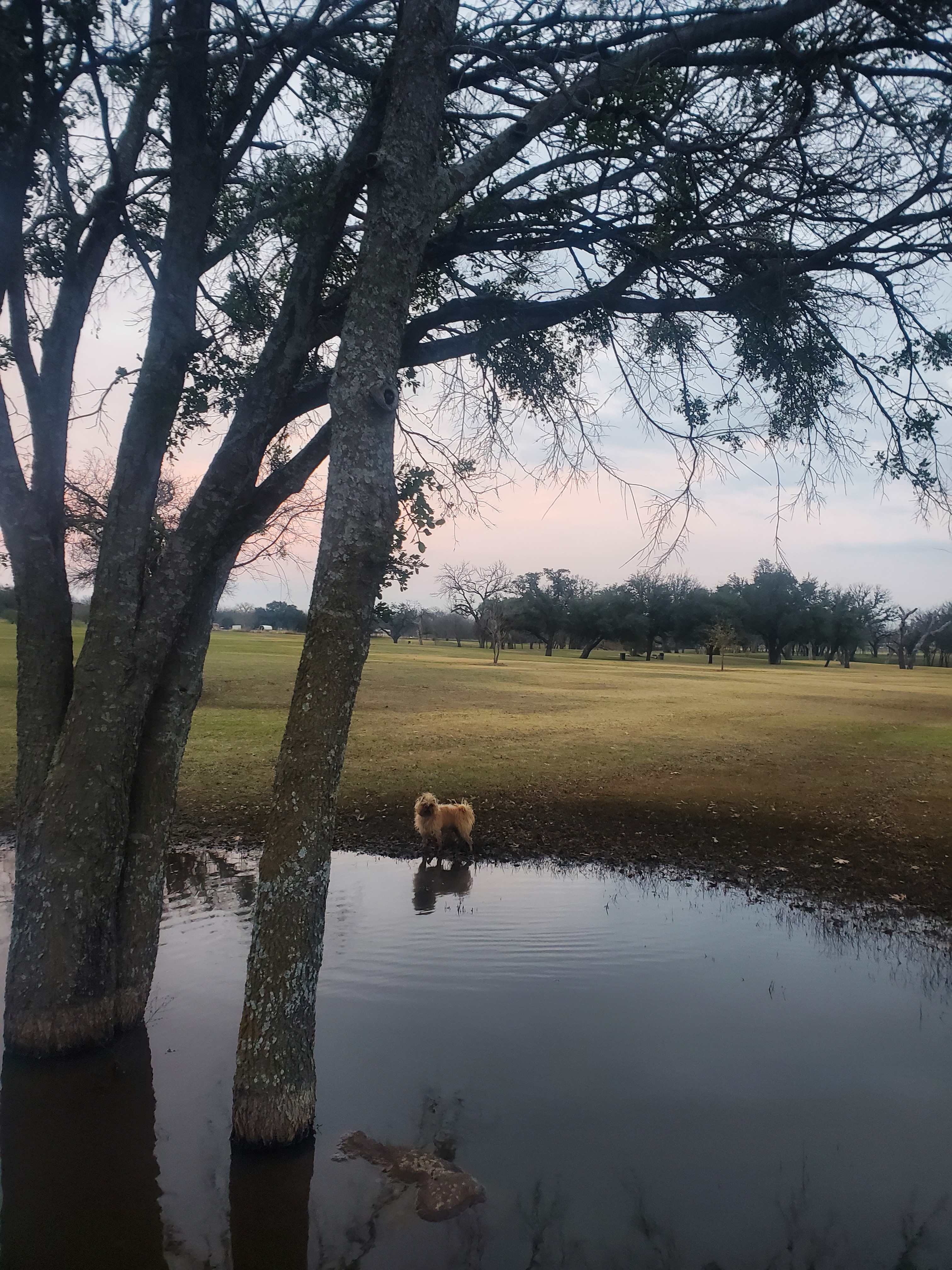 Granbury Nature Escape