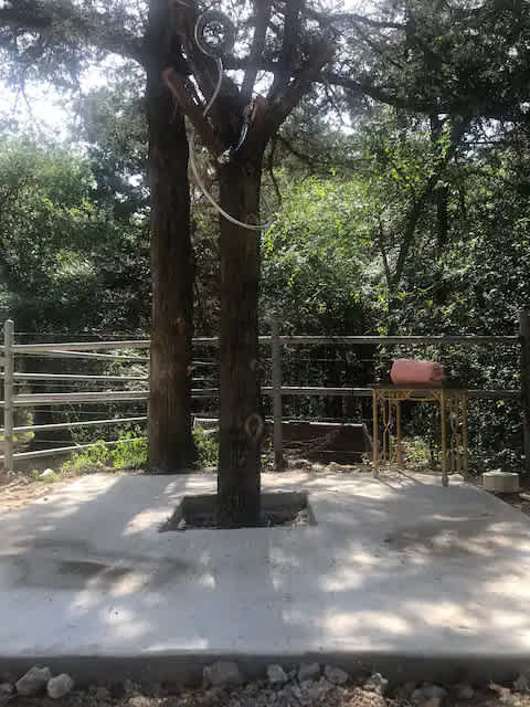 Picture of the site