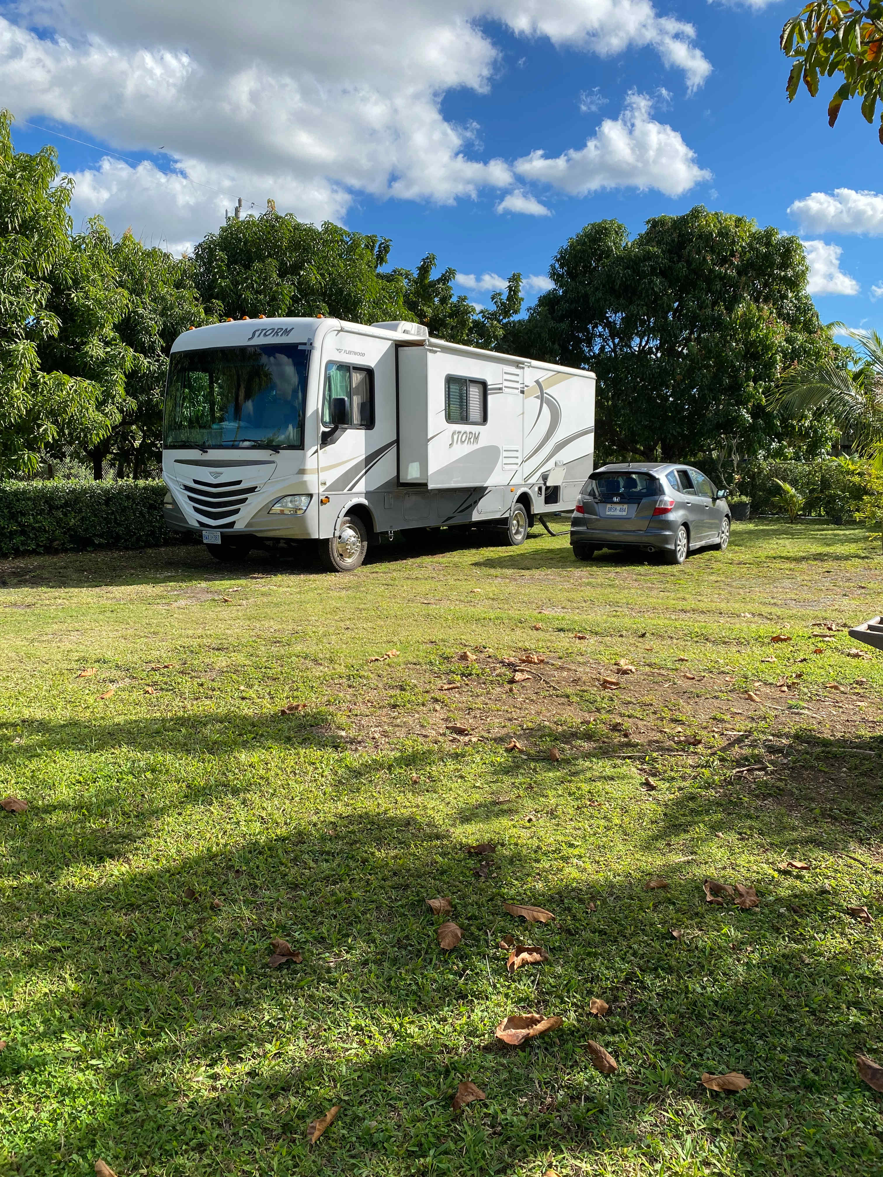 Picture of the site