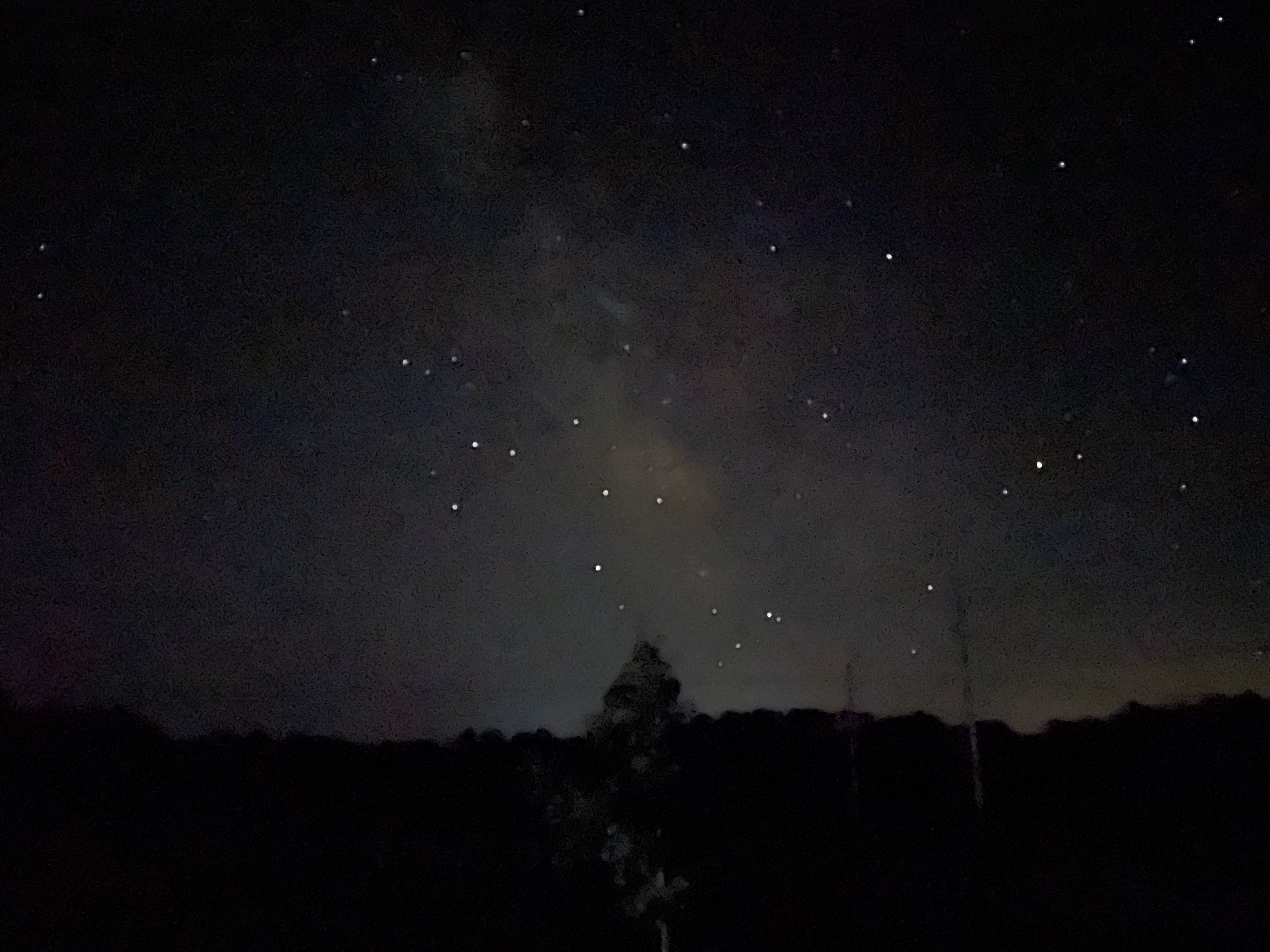 Back Forty Camping at its best