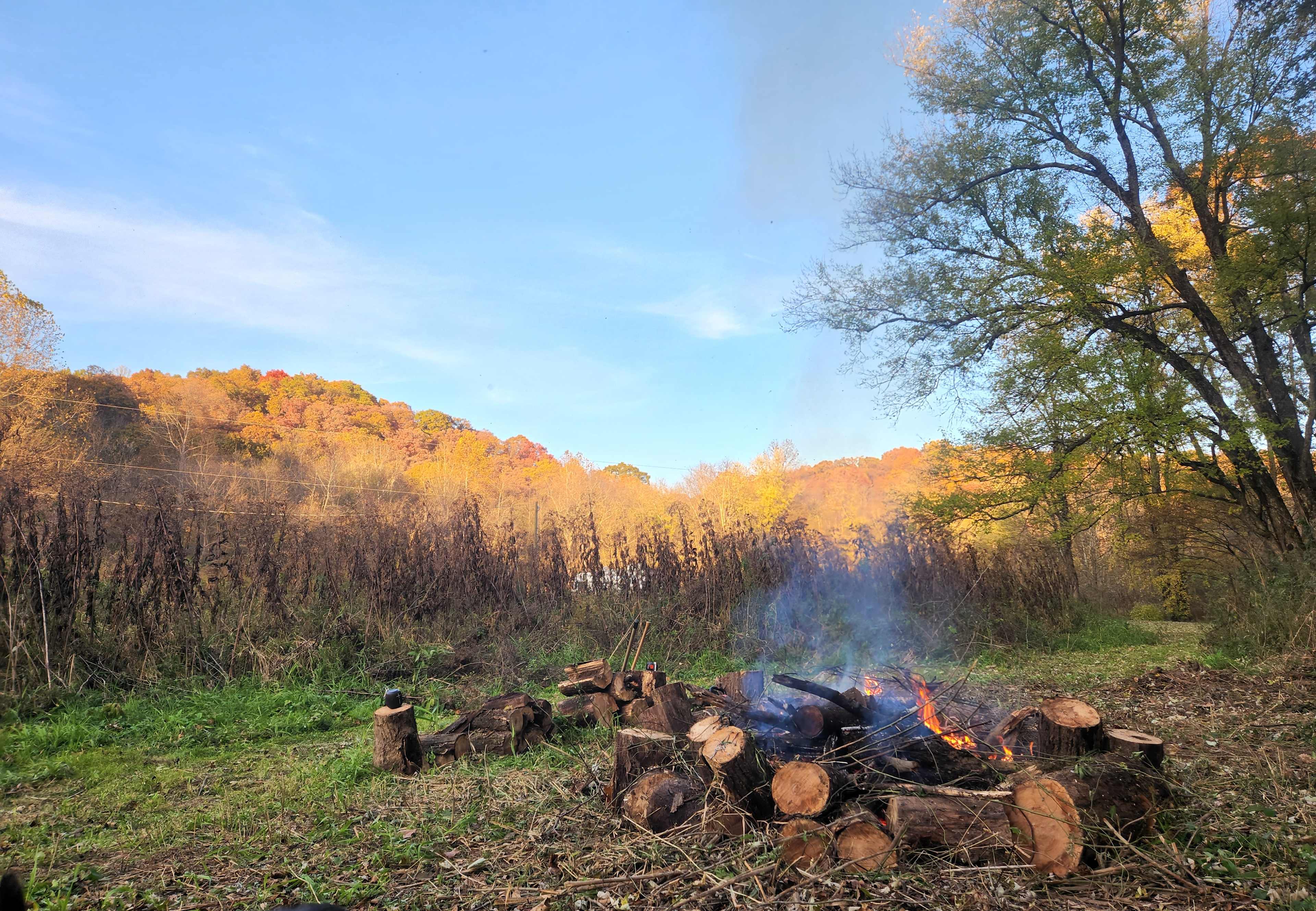 View of Zalesky State Forest from camp.