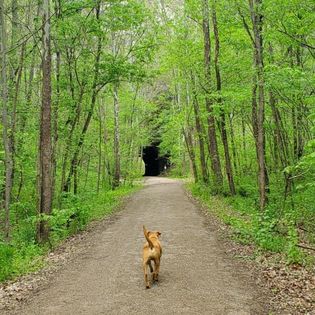 Kings Hollow Tunnel is a short jaunt from camp.