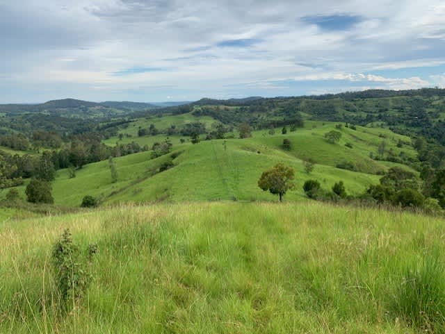 Oakey Ridge