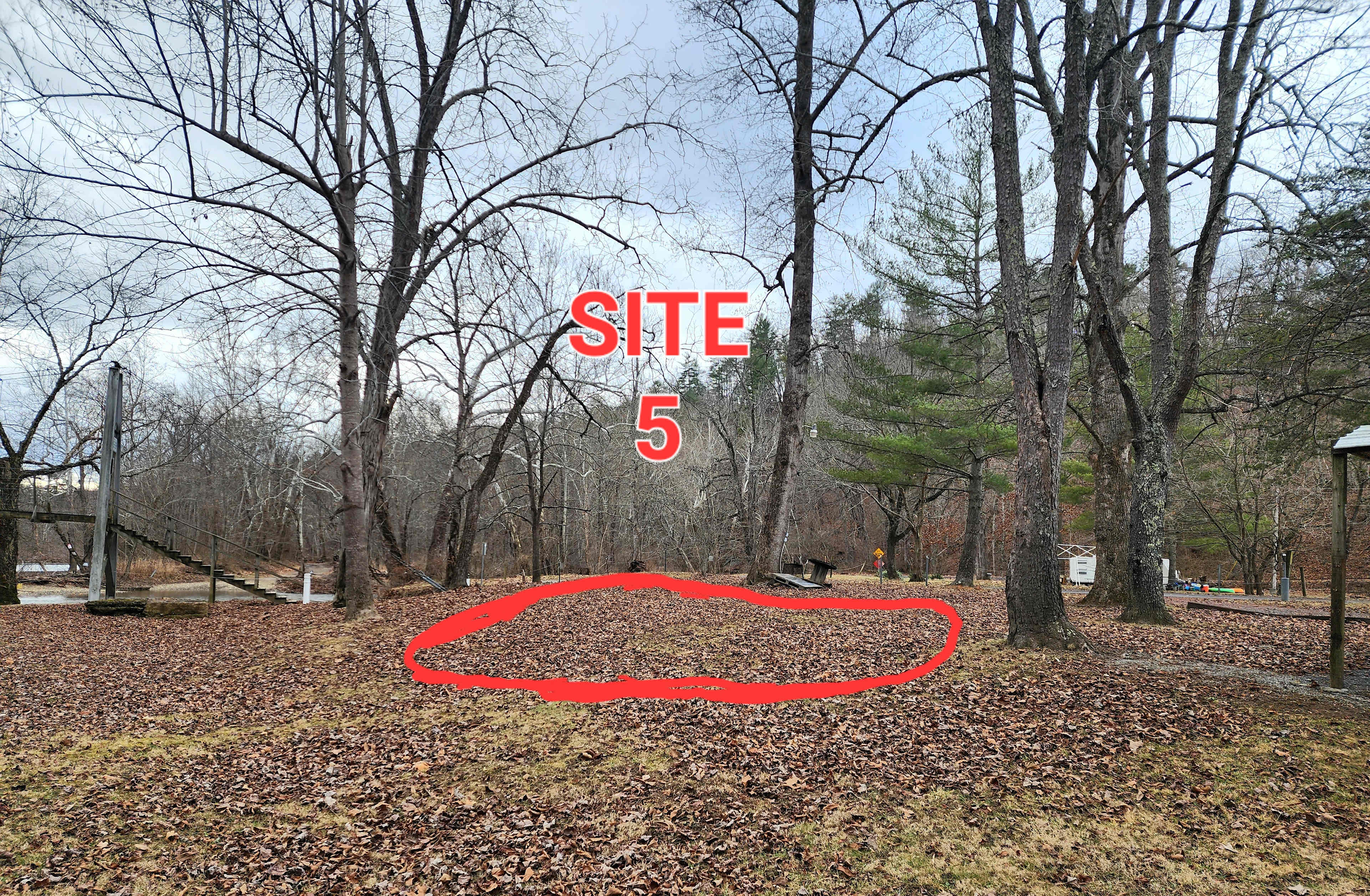 Picture of the site