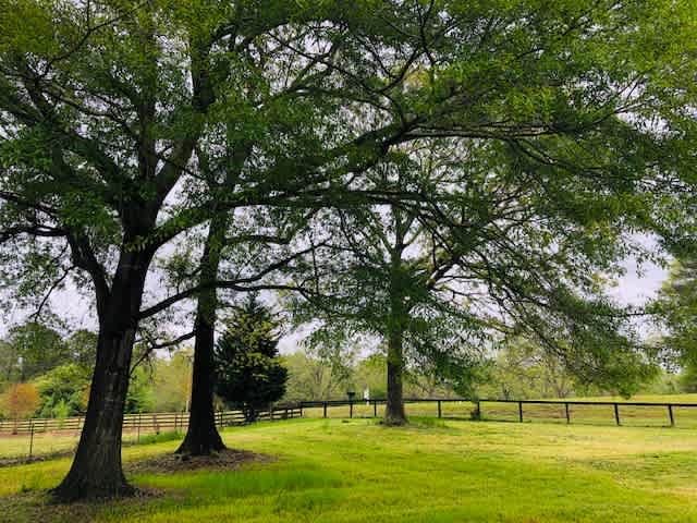Openroad Farm