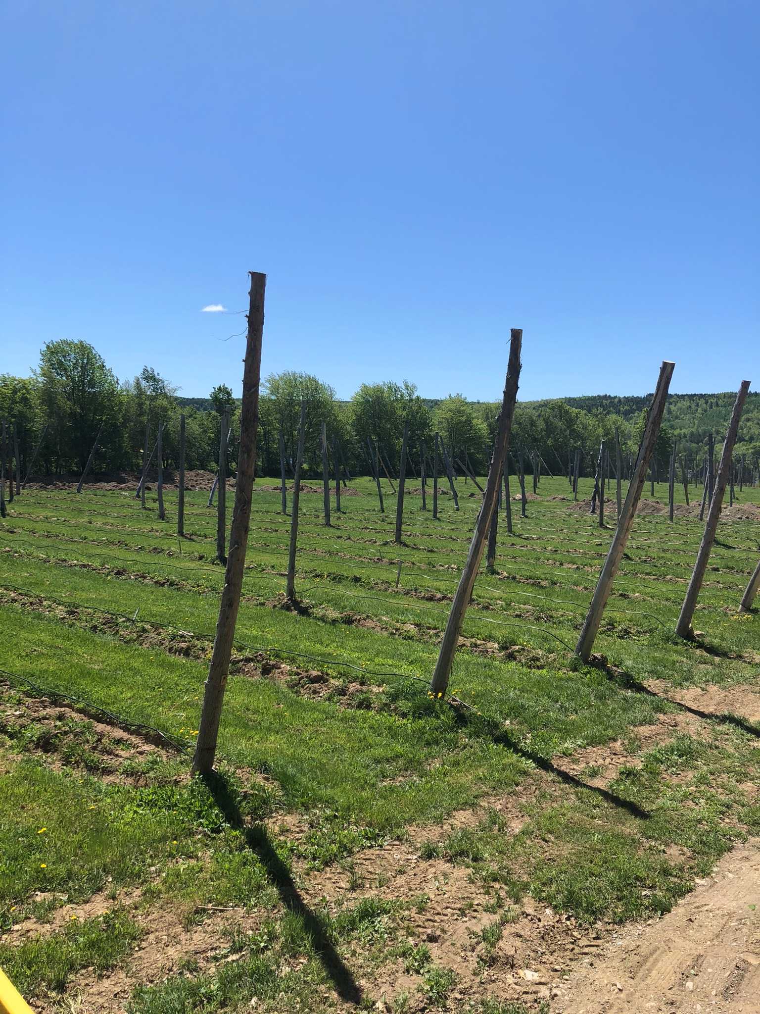Split Rock Farm