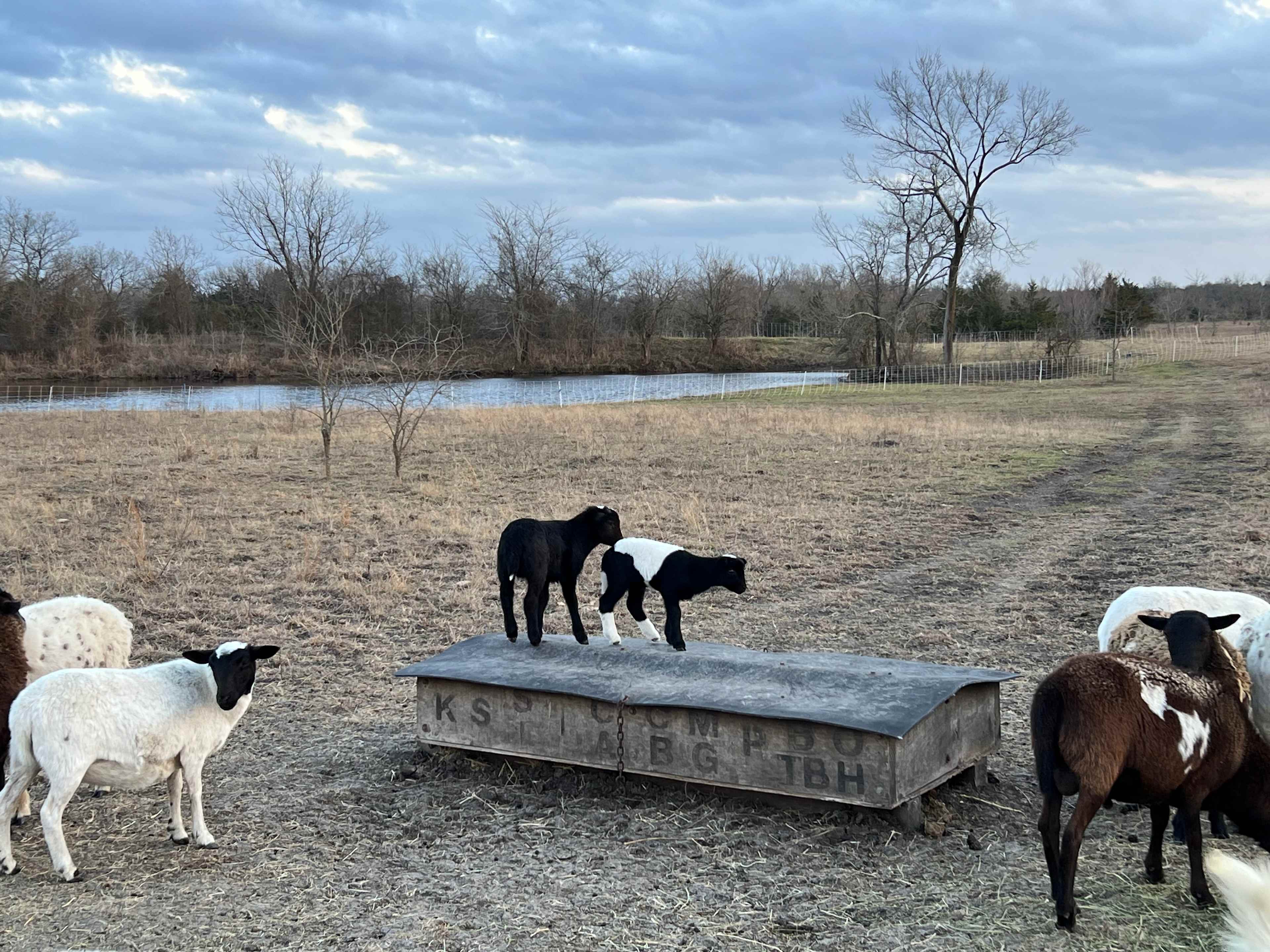 Vrooman Ranch