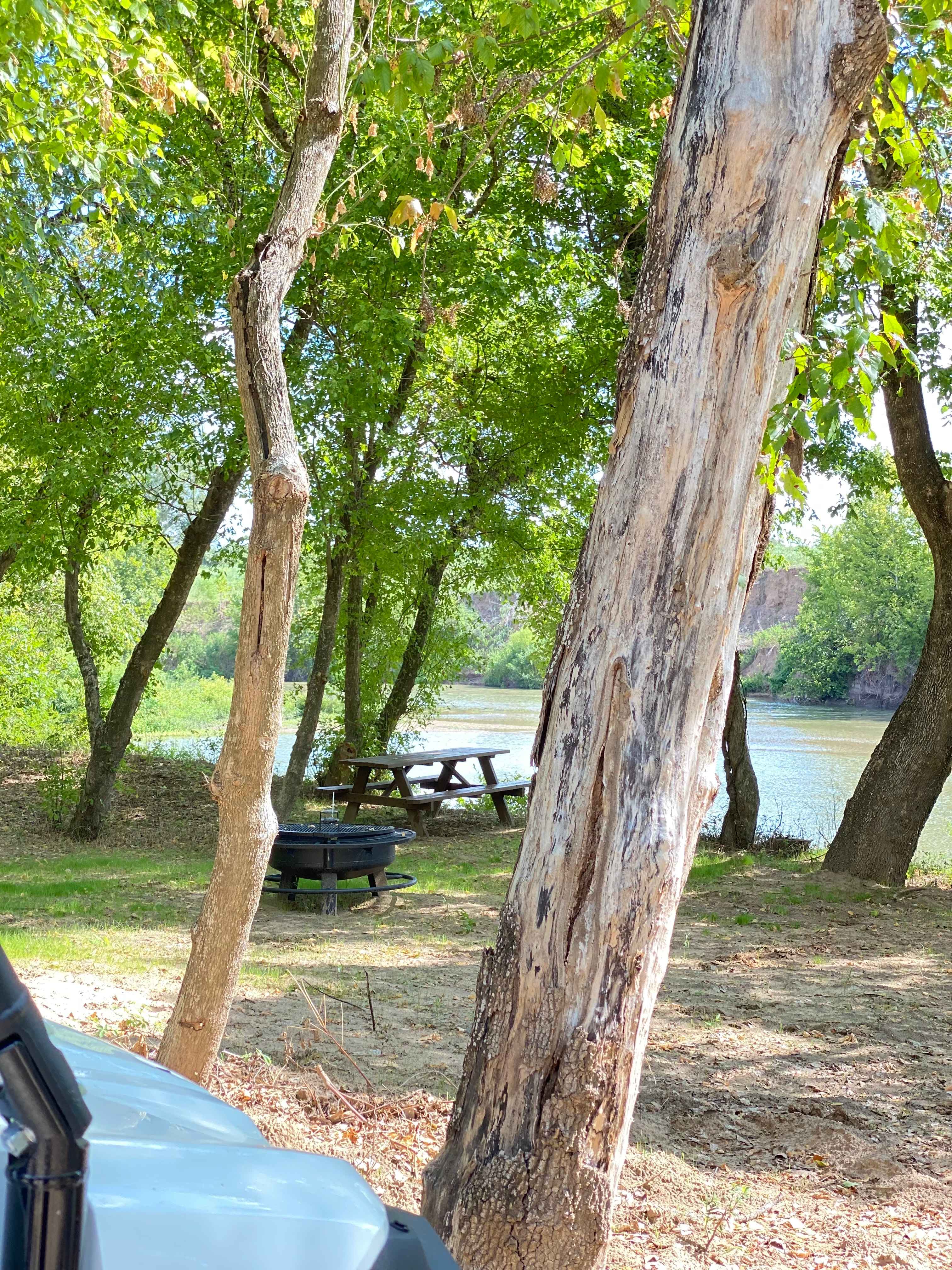 Picture of the site