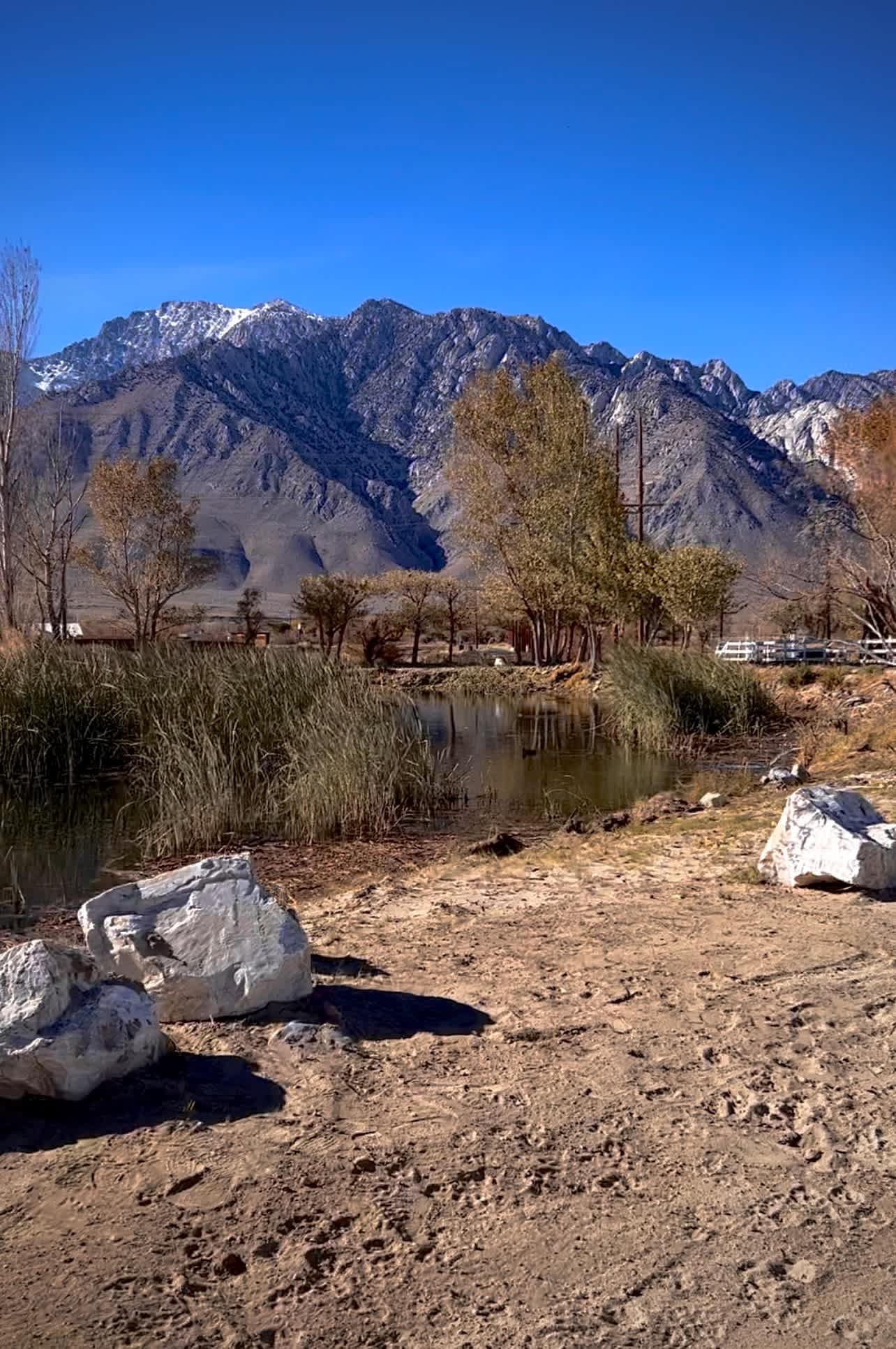 Picture of the site