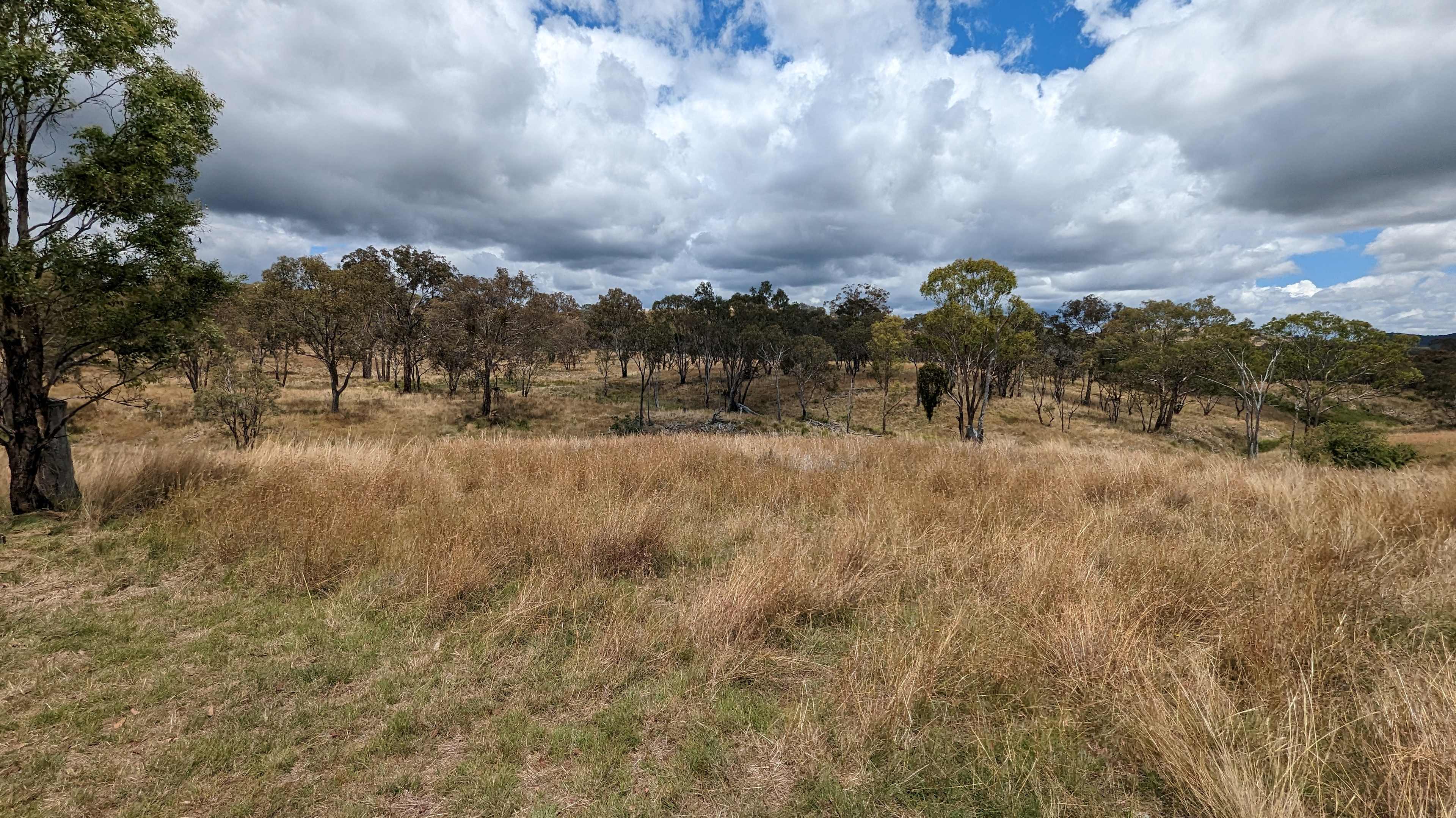 Meroo Hills