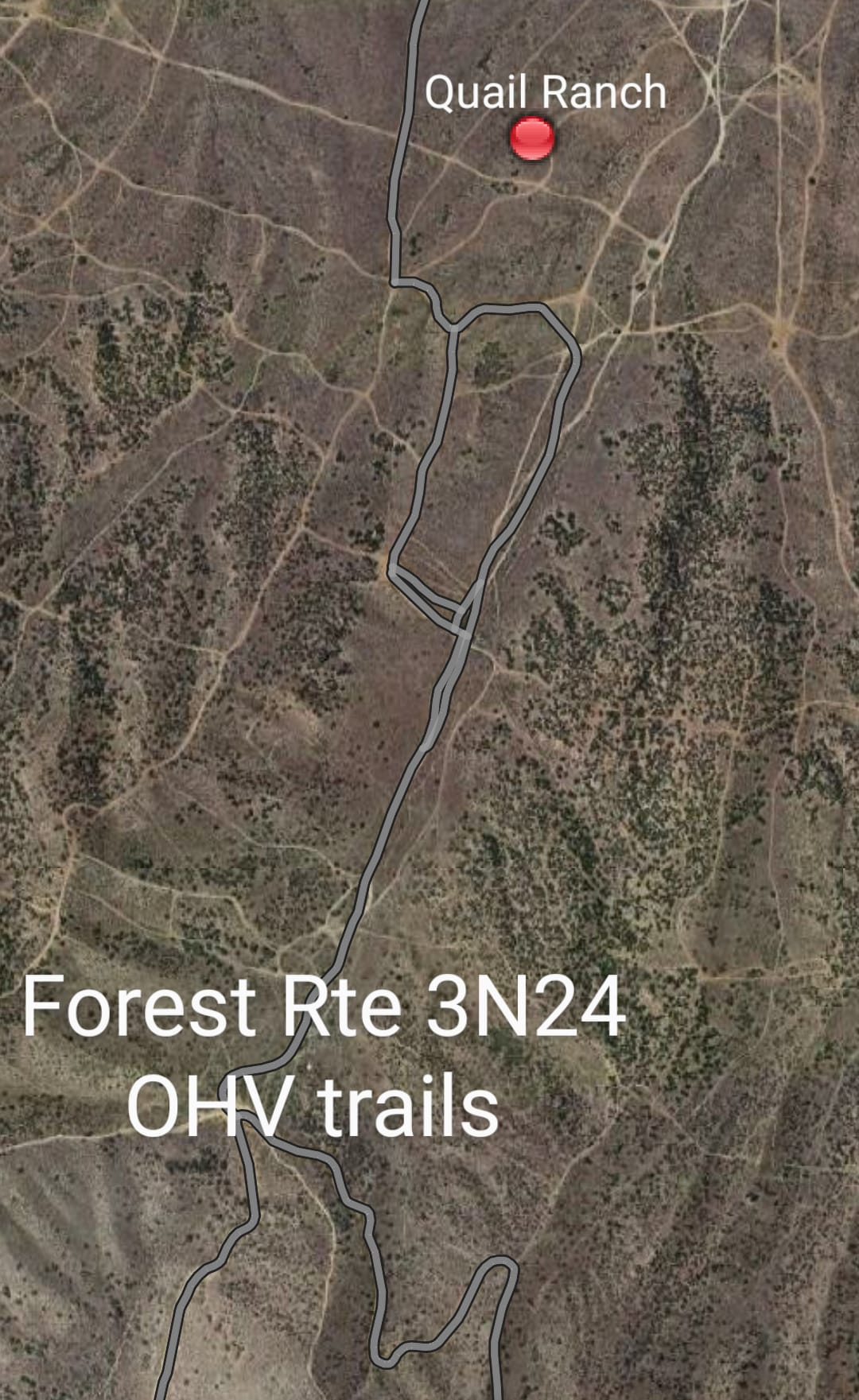 Picture of the site