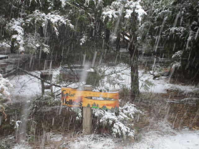 Picture of the site