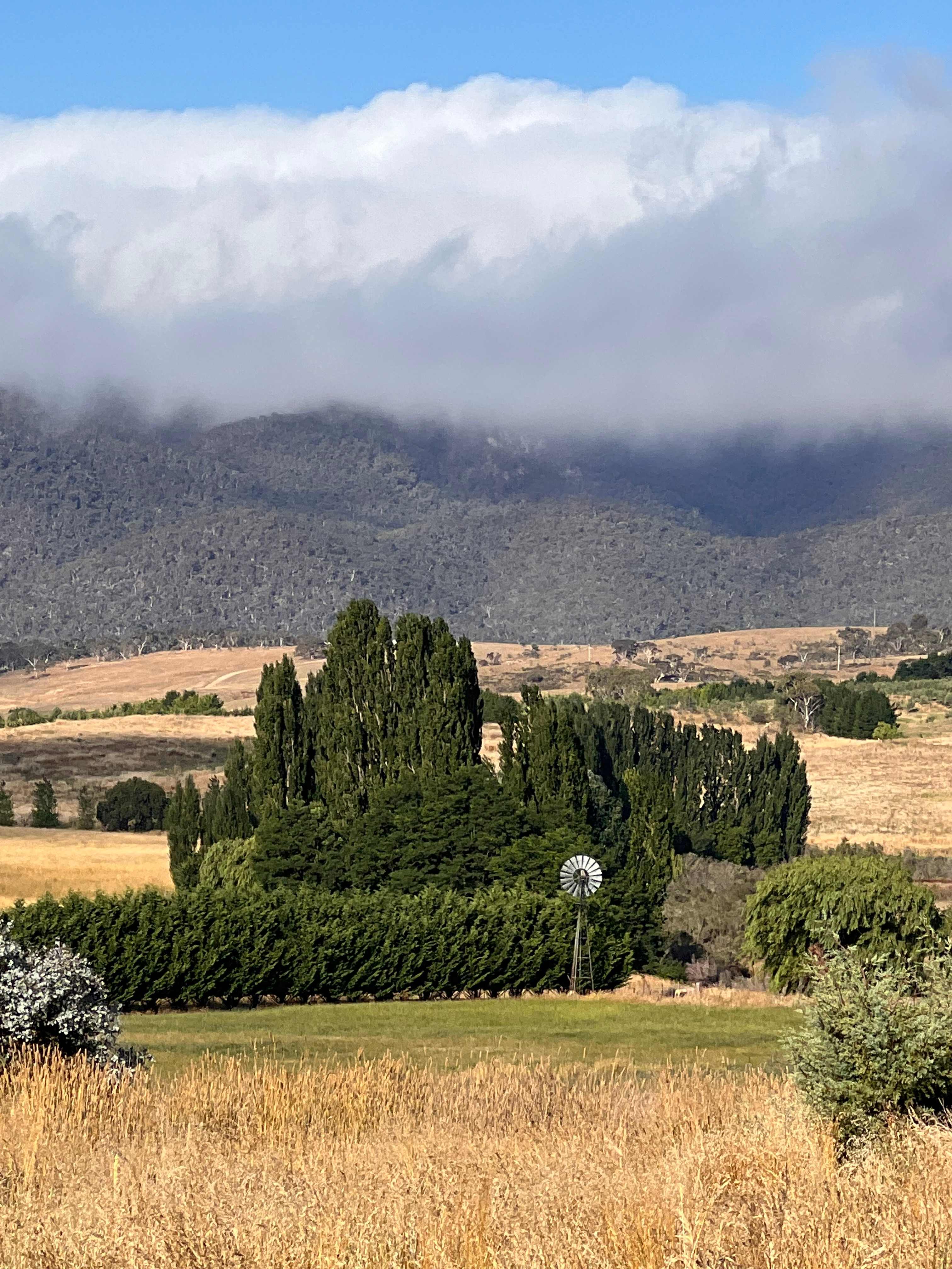 View of the Numeralla hills from Shellgrove Cottage