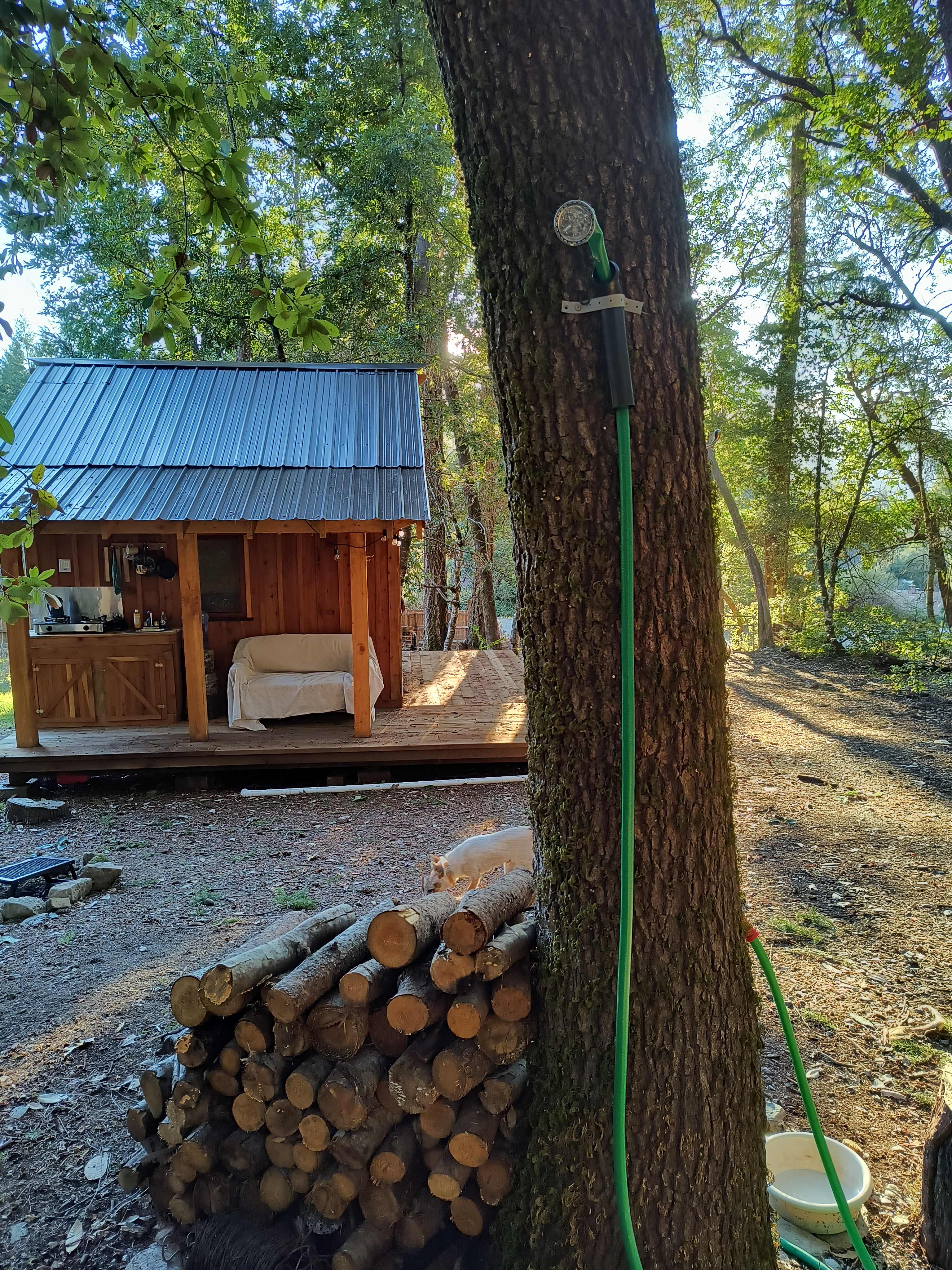 Bigfoot Little Cabin
