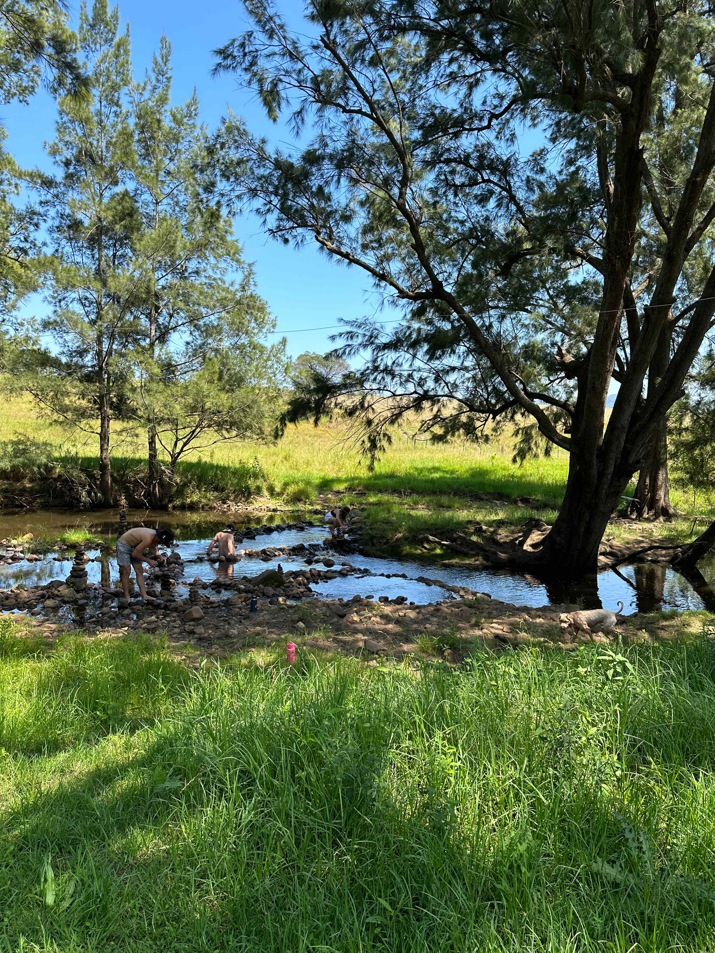 Big Bell Farm
