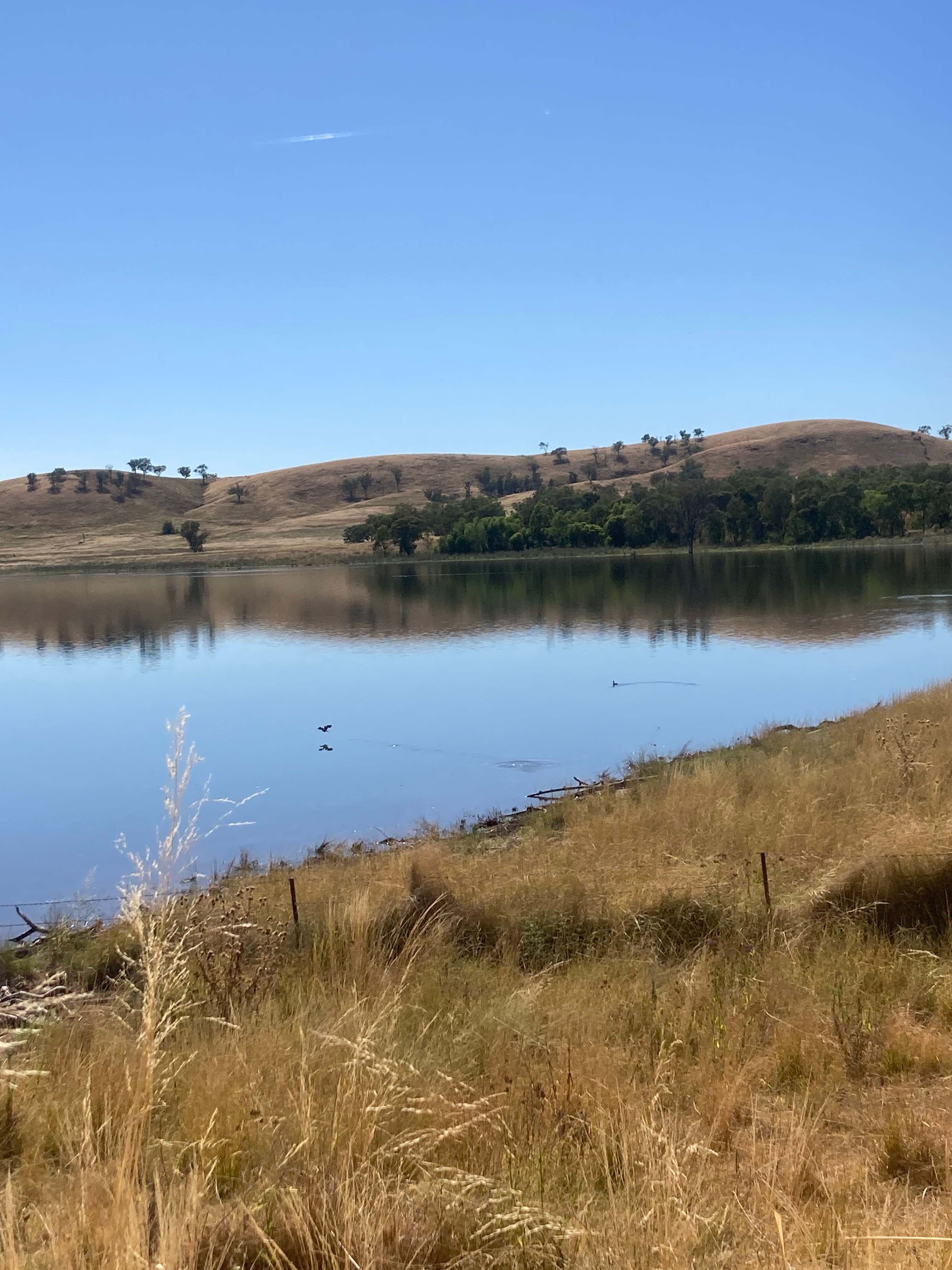 Myall Springs Lake