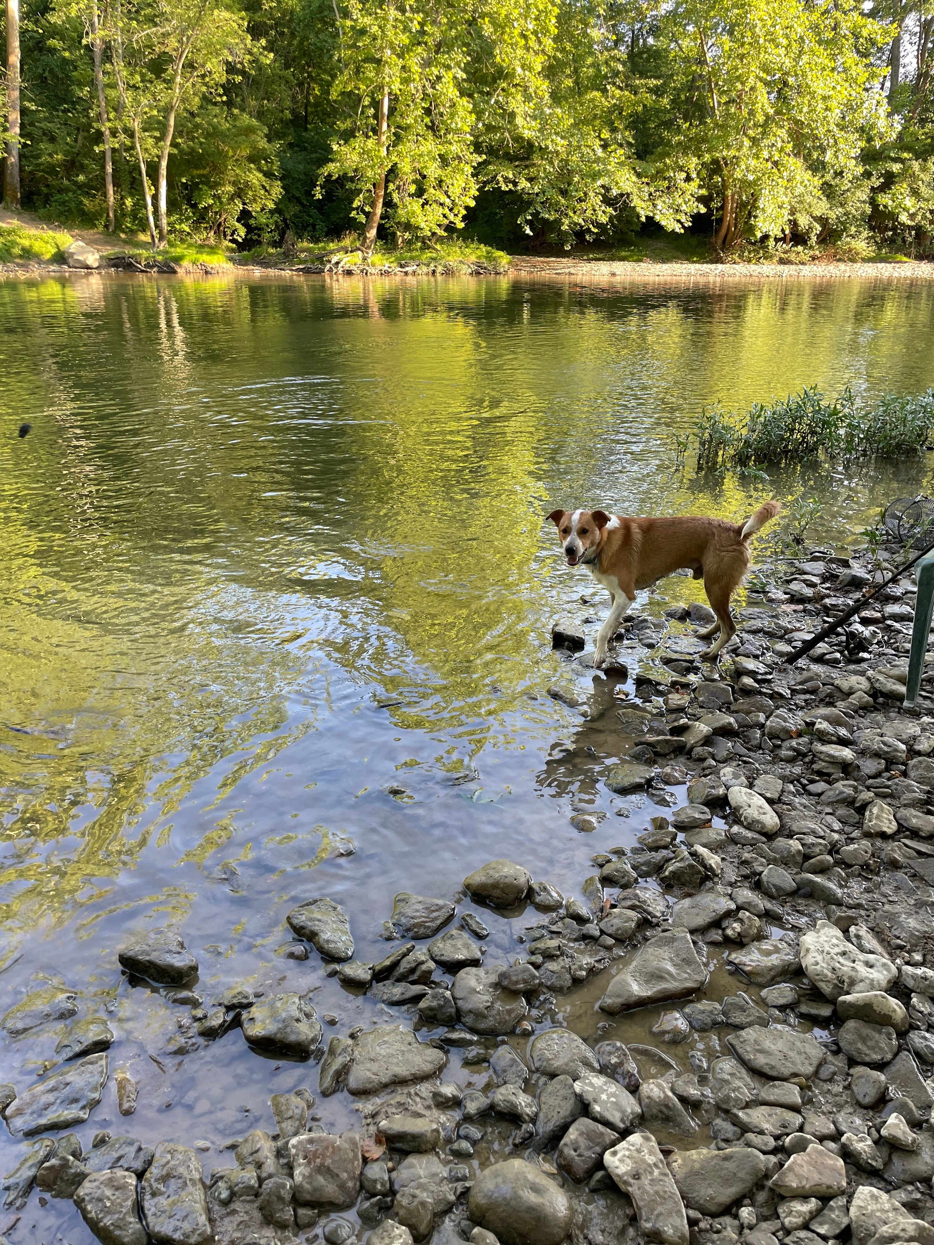 Riverside Adventures