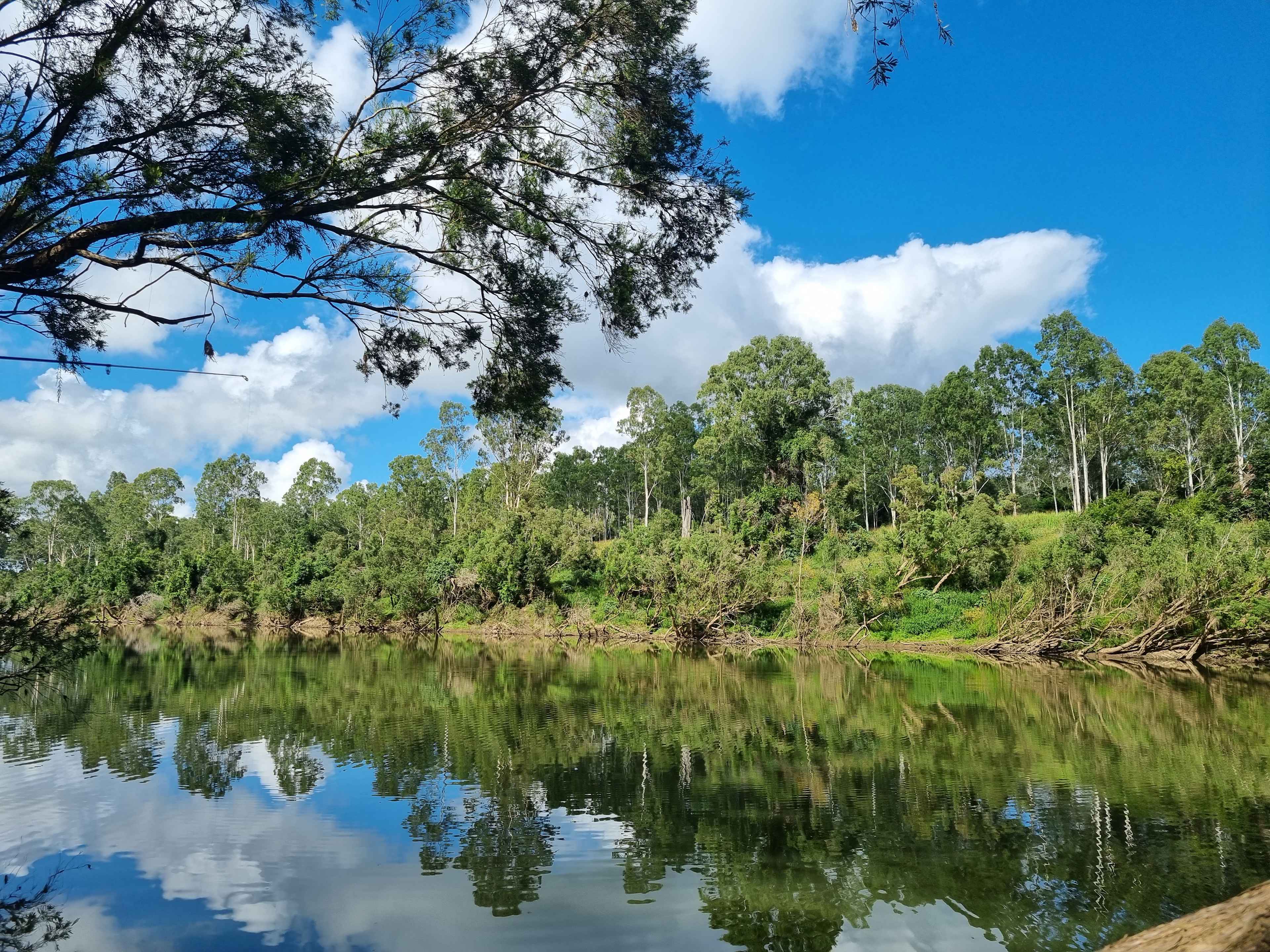 Mary River Farmstay