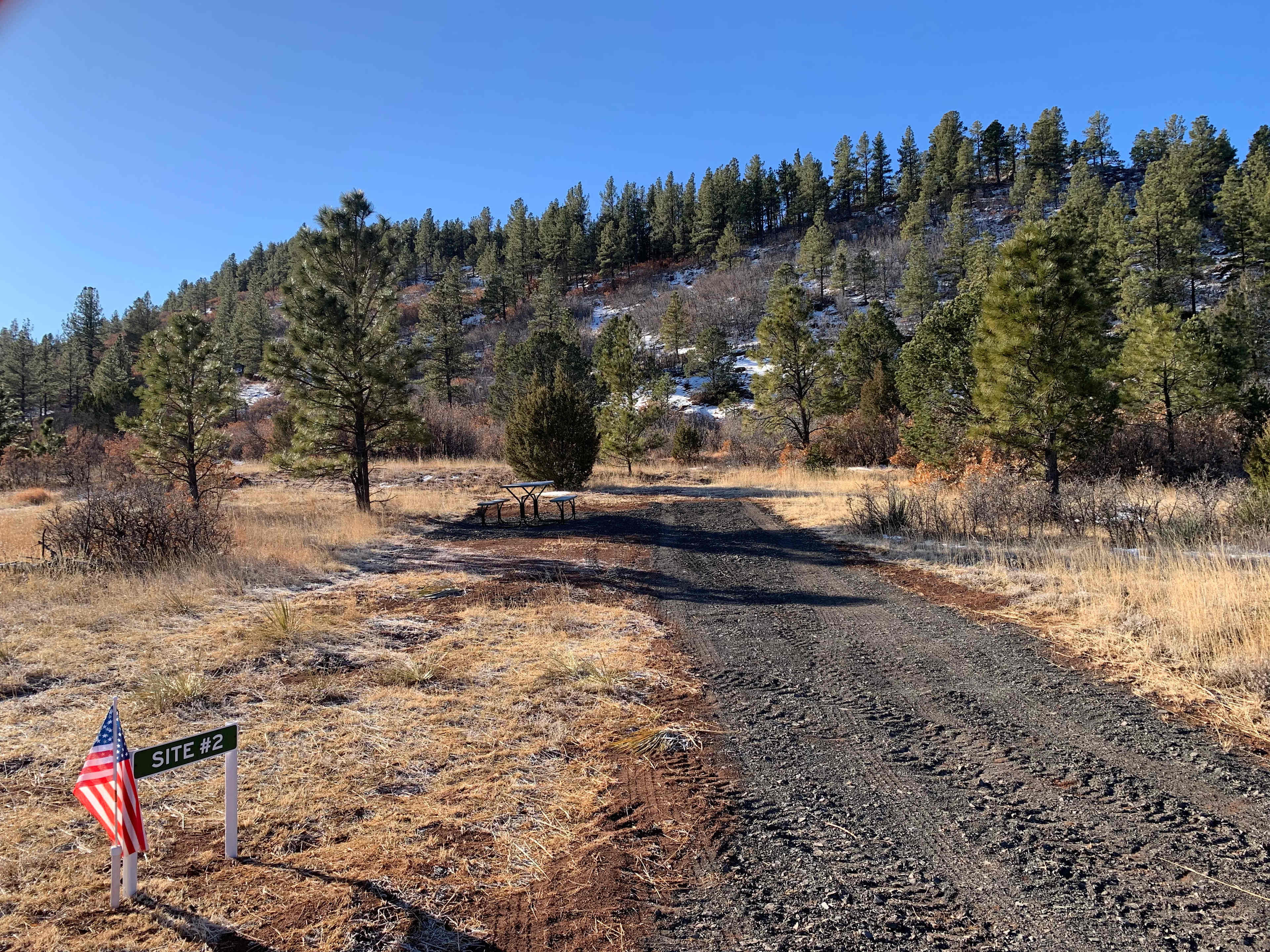 Site #2  -  Looking N to S from Entrance
