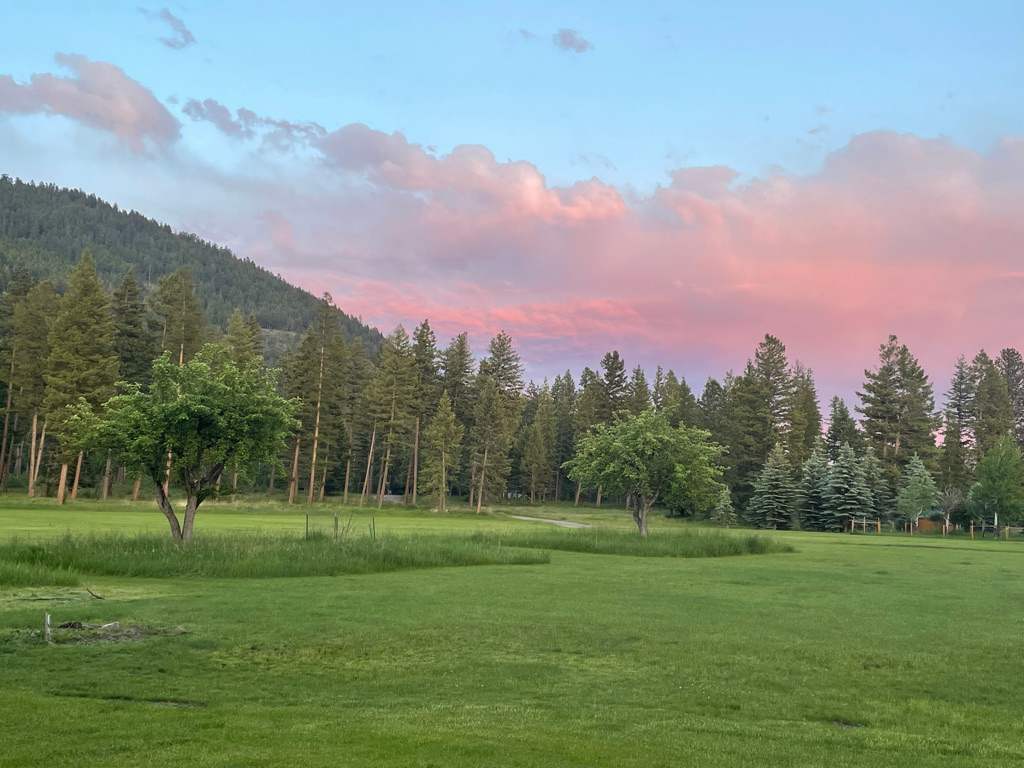 The Meadow near Blaine Mountain