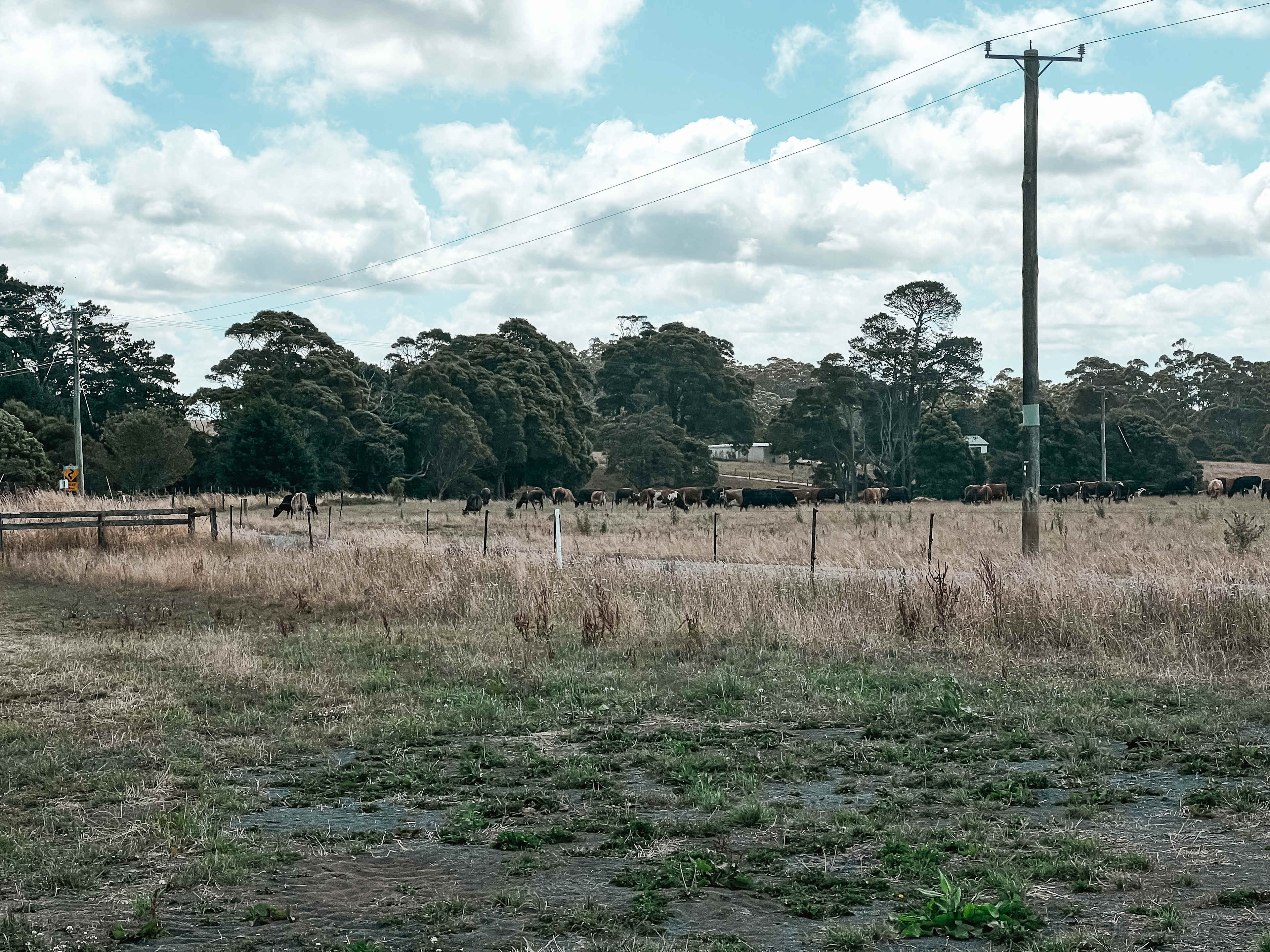 Mountview, Mowbanna