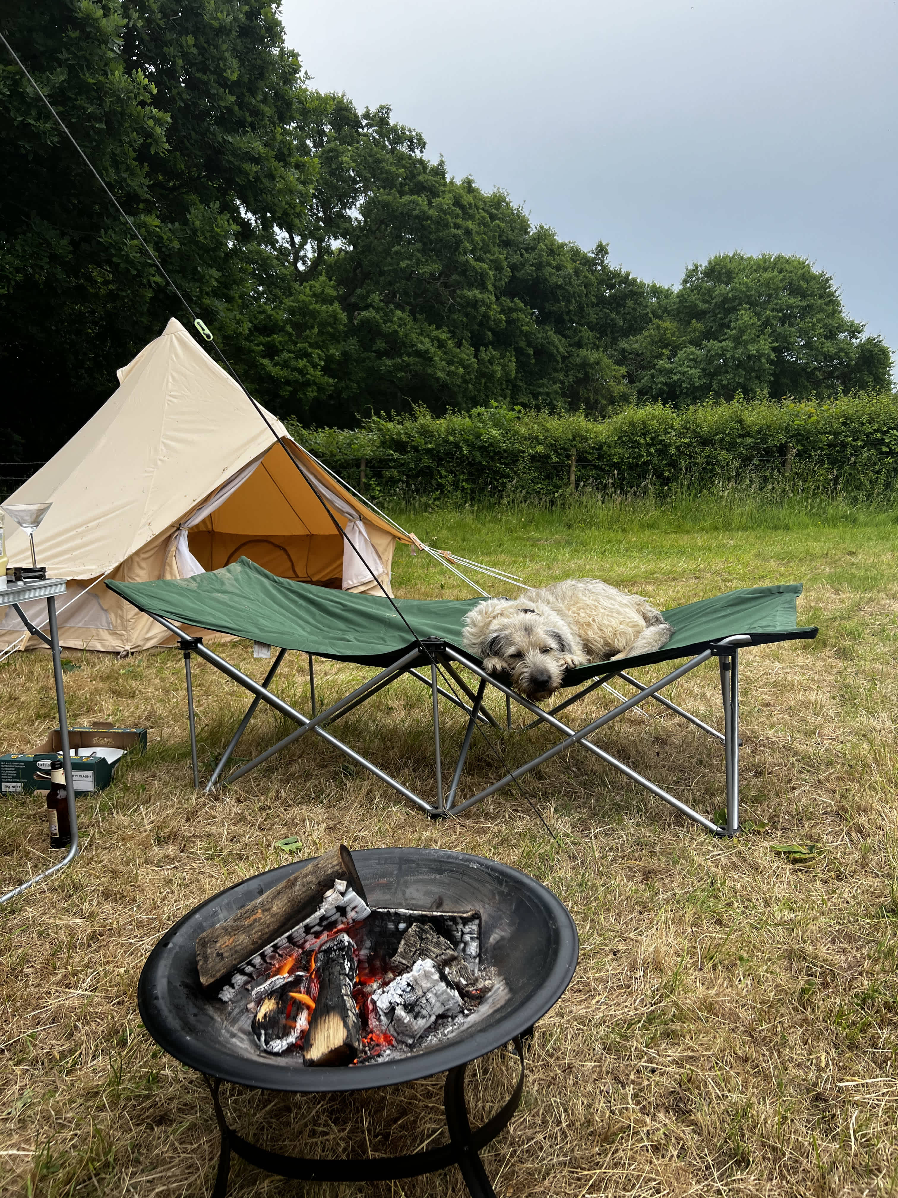 Cattlestone Farm Adult Only