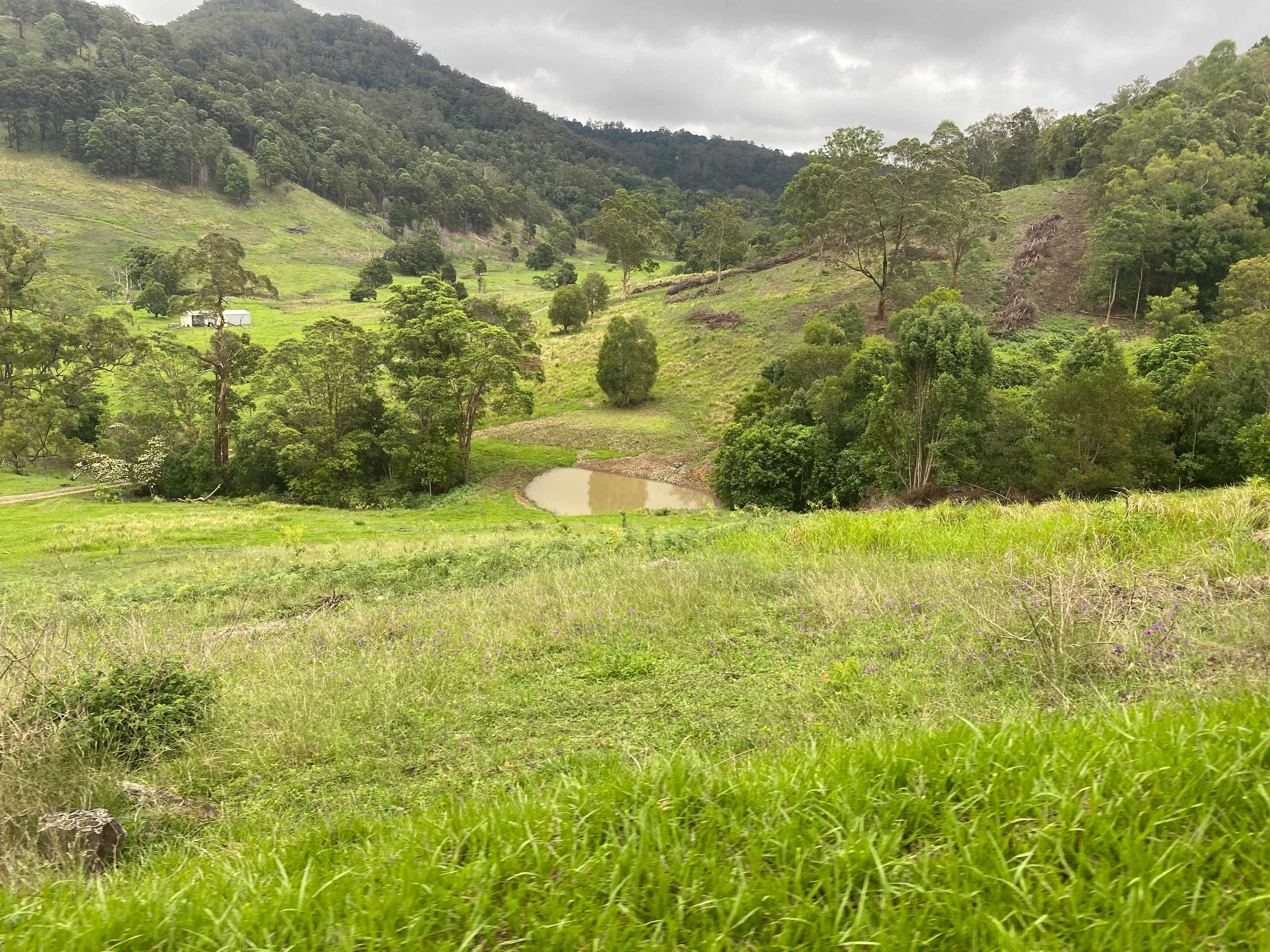Front dam, off grid tents only beside dam about 400 meters to house.