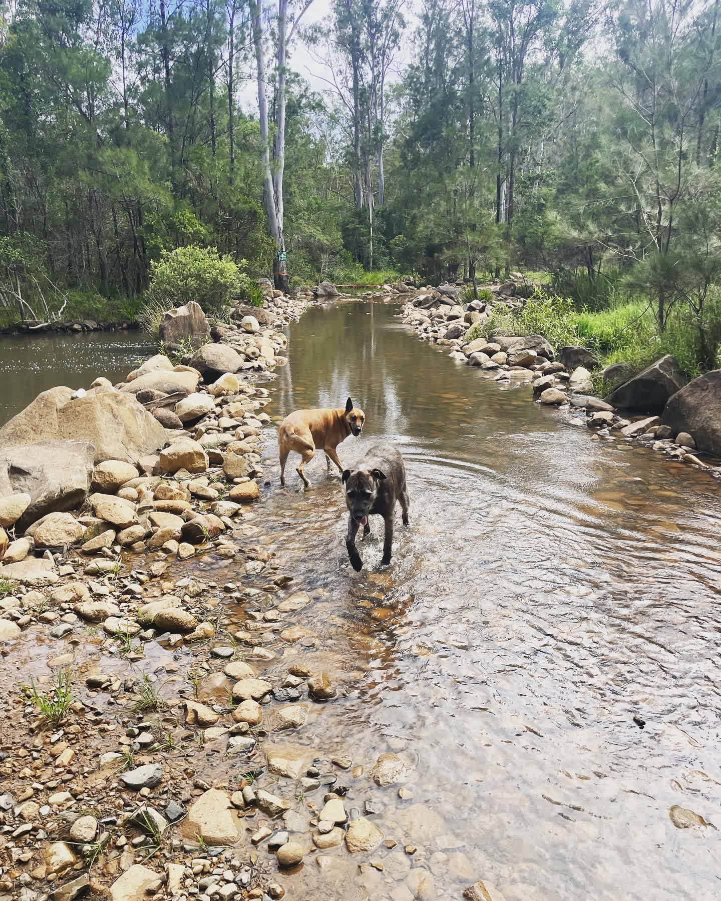 Emu Creek Retreat