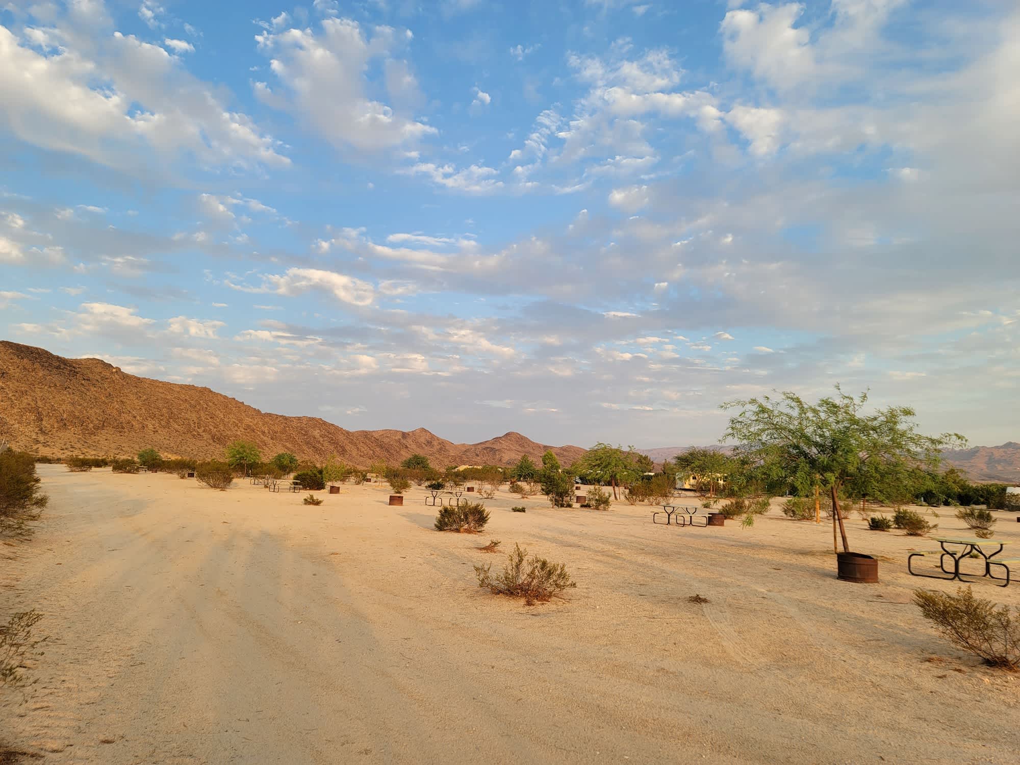 Picture of the site