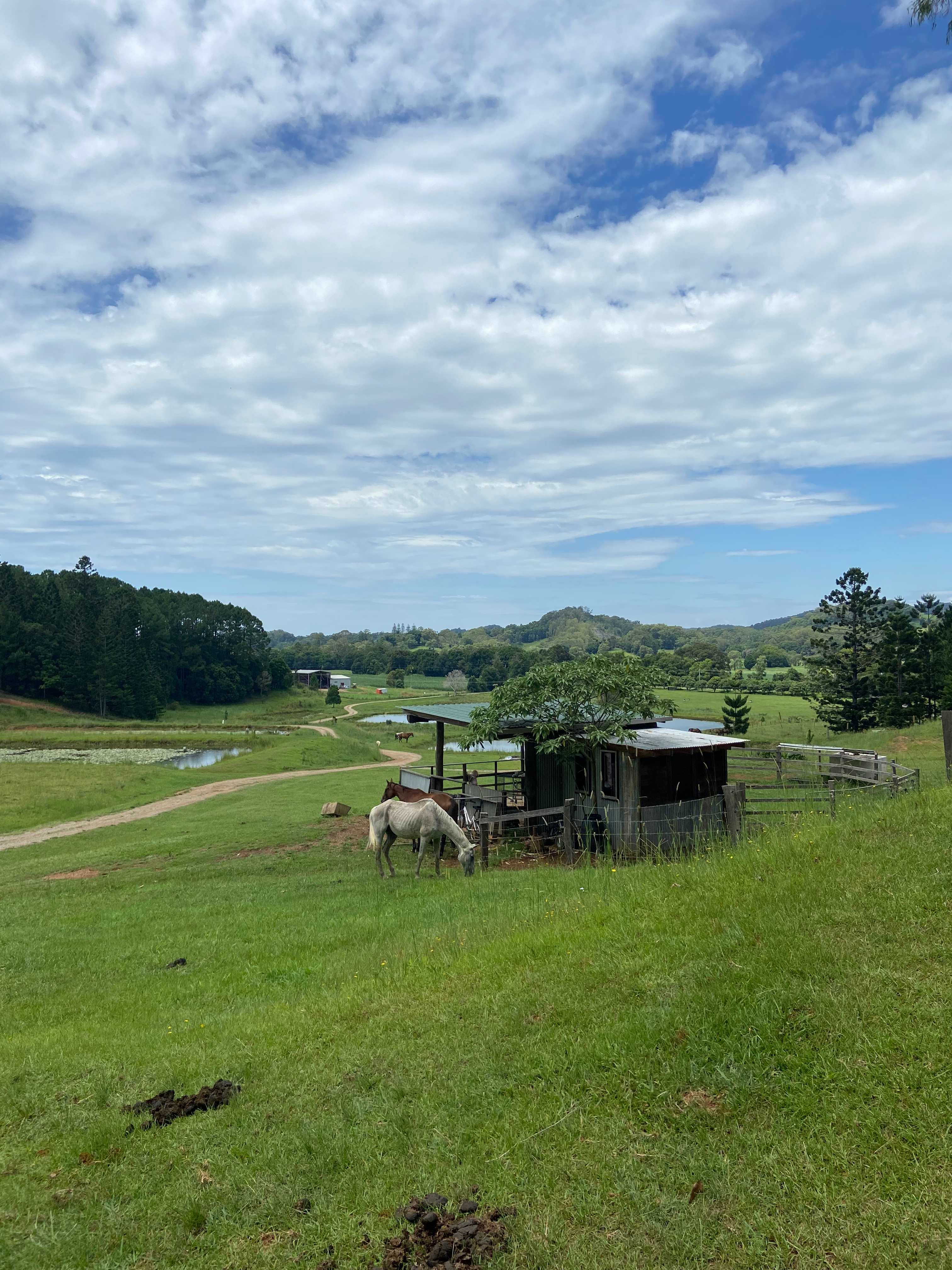 "JALUM" Undulating Farmland!