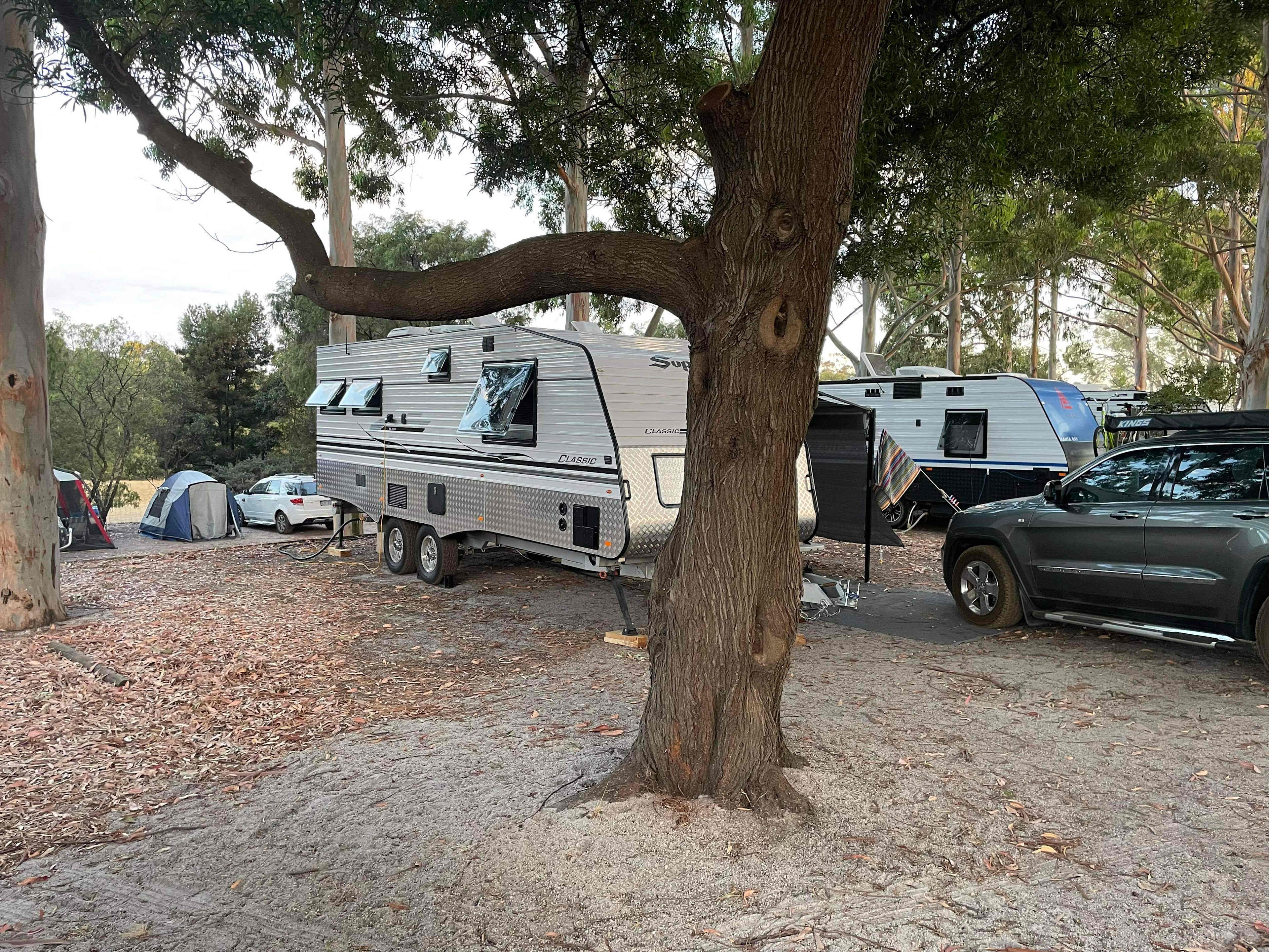 Big Valley Campsite