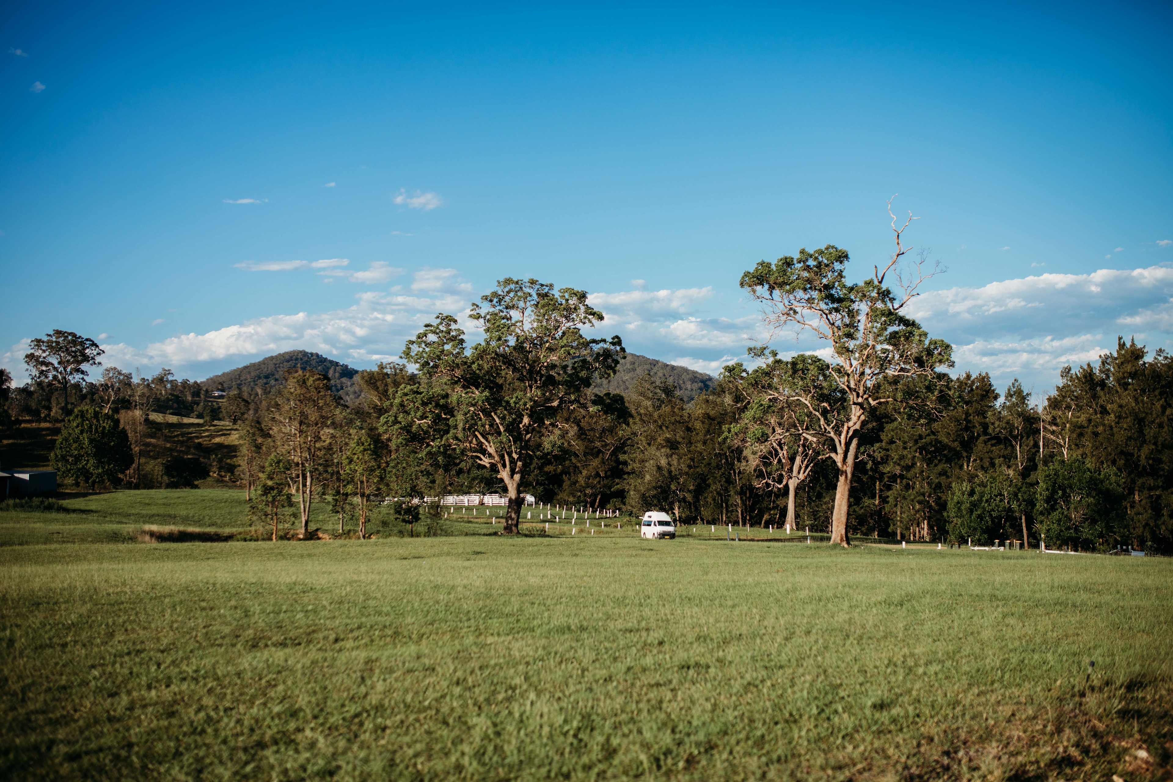 Altamira Along Bakers Creek
