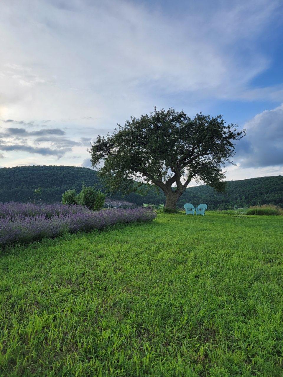 Jubilee Farms