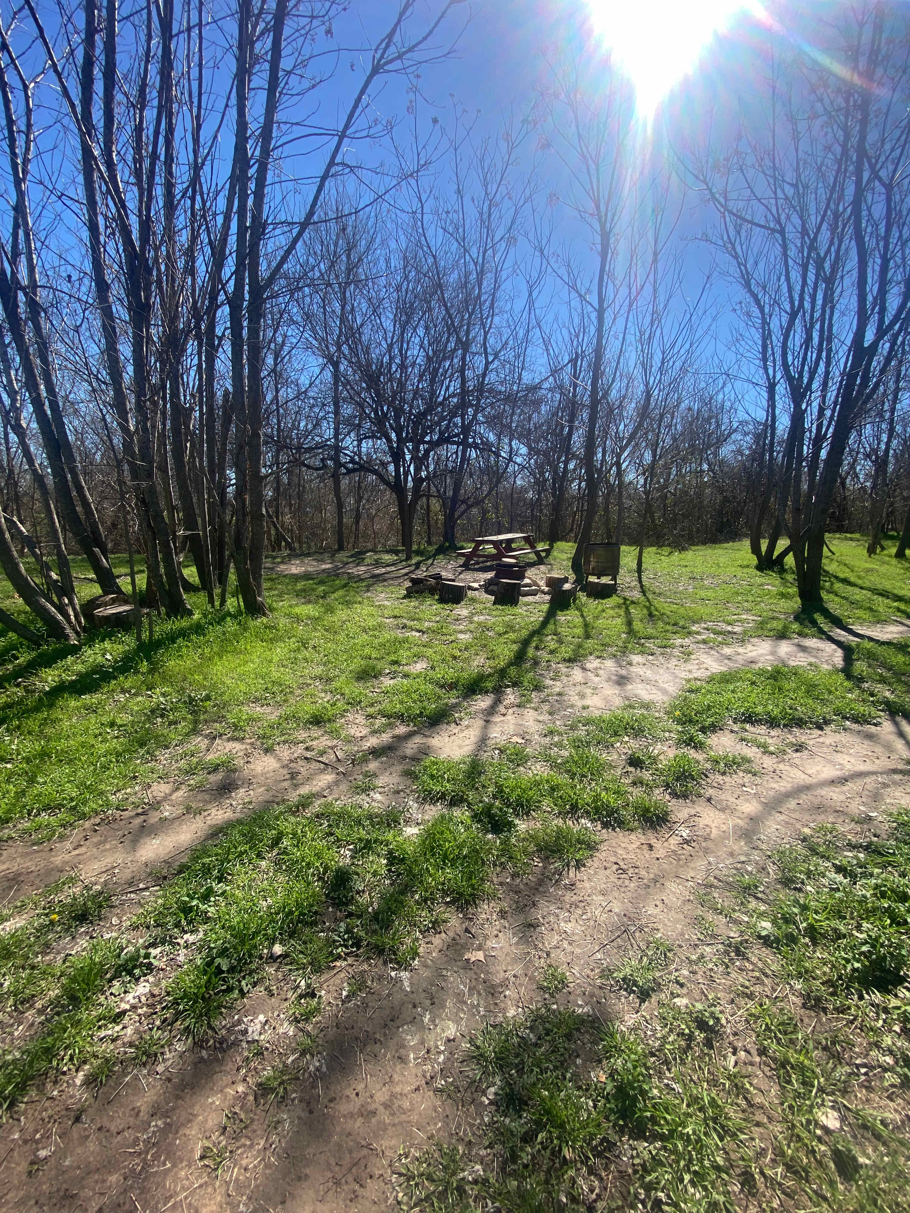 Picture of the site